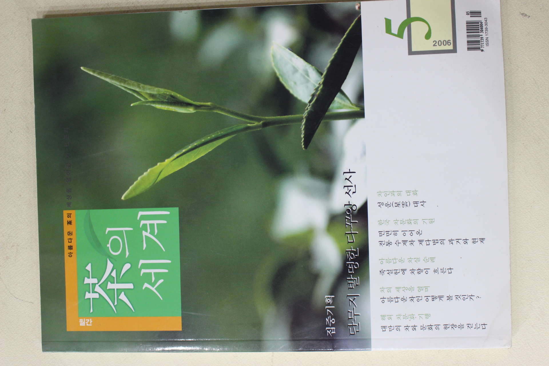 2006년 차의 세계 5월호