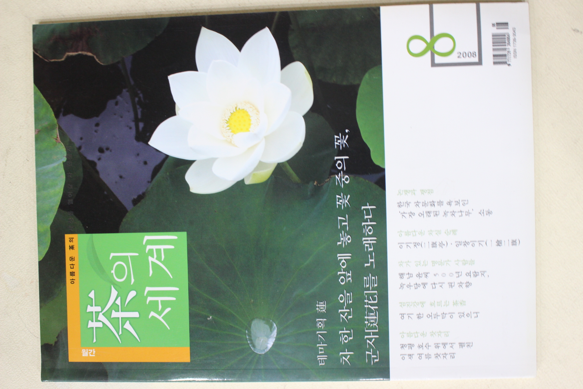 2008년 차의 세계 8월호