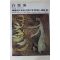1979년초판 한국현대미술작가100인선집 백영수(白榮洙)