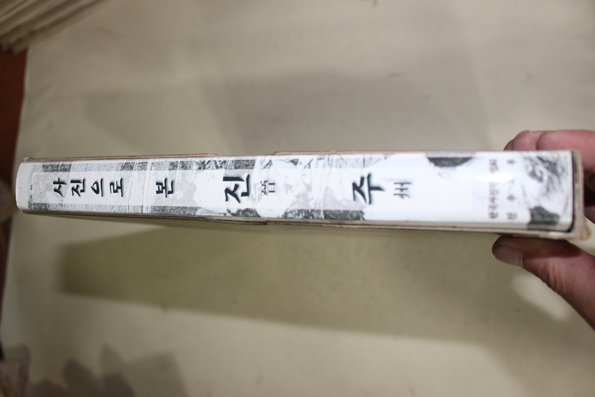 1999년 사진으로 본 진주