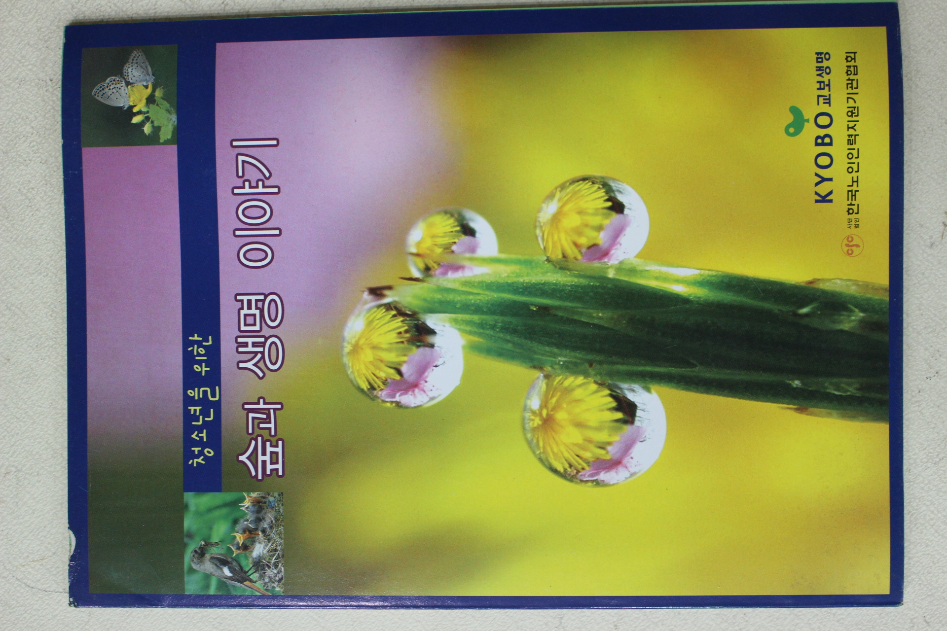 2004년 교보생명 청소년을 위한 숲과 생명이야기