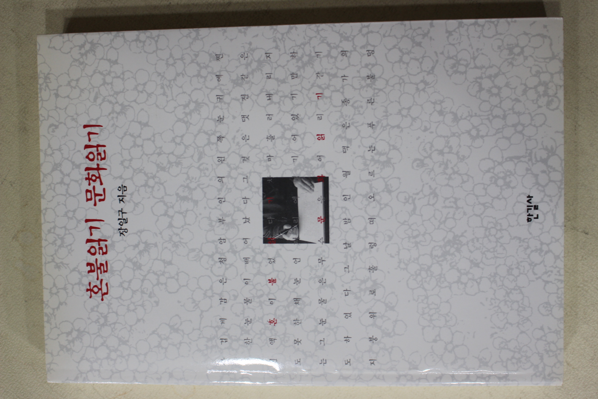 1999년초판 장일구 혼불읽기 문화읽기