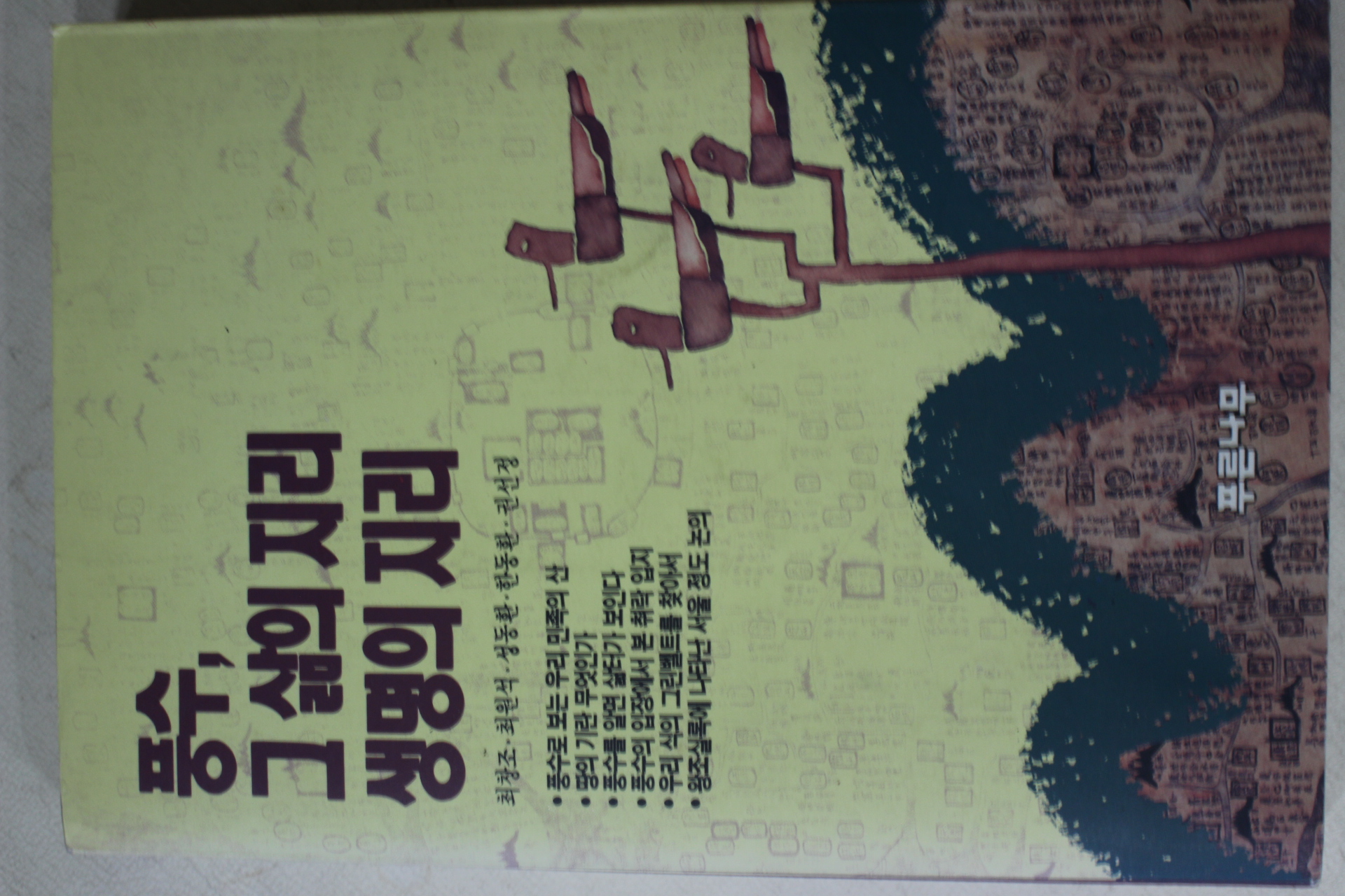 1993년초판 최창조,최원석외 풍수 그 삶의 지리 생명의 지리