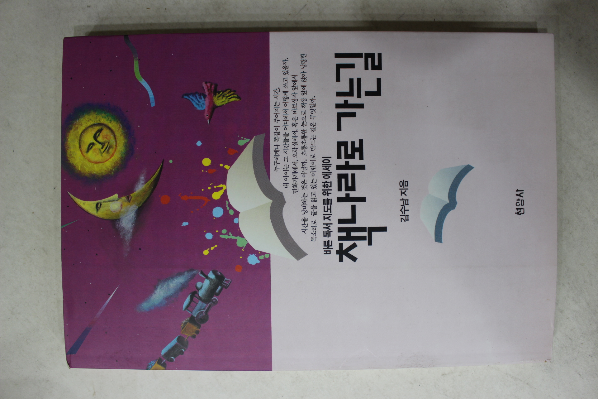 1993년 김수남 책나라로 가는길
