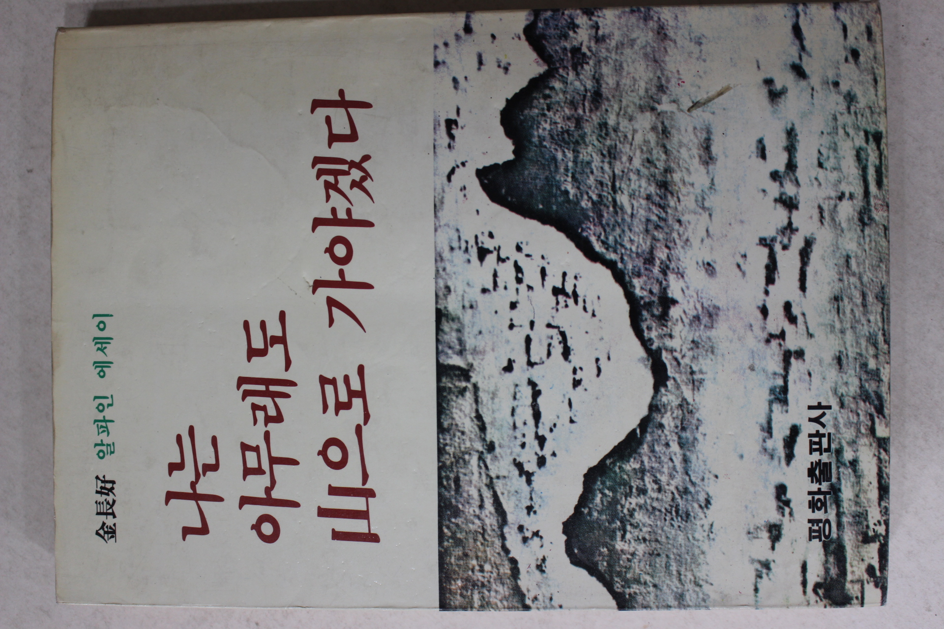 1988년 김장호(金長好) 나는 아무래도 산으로 가야겠다