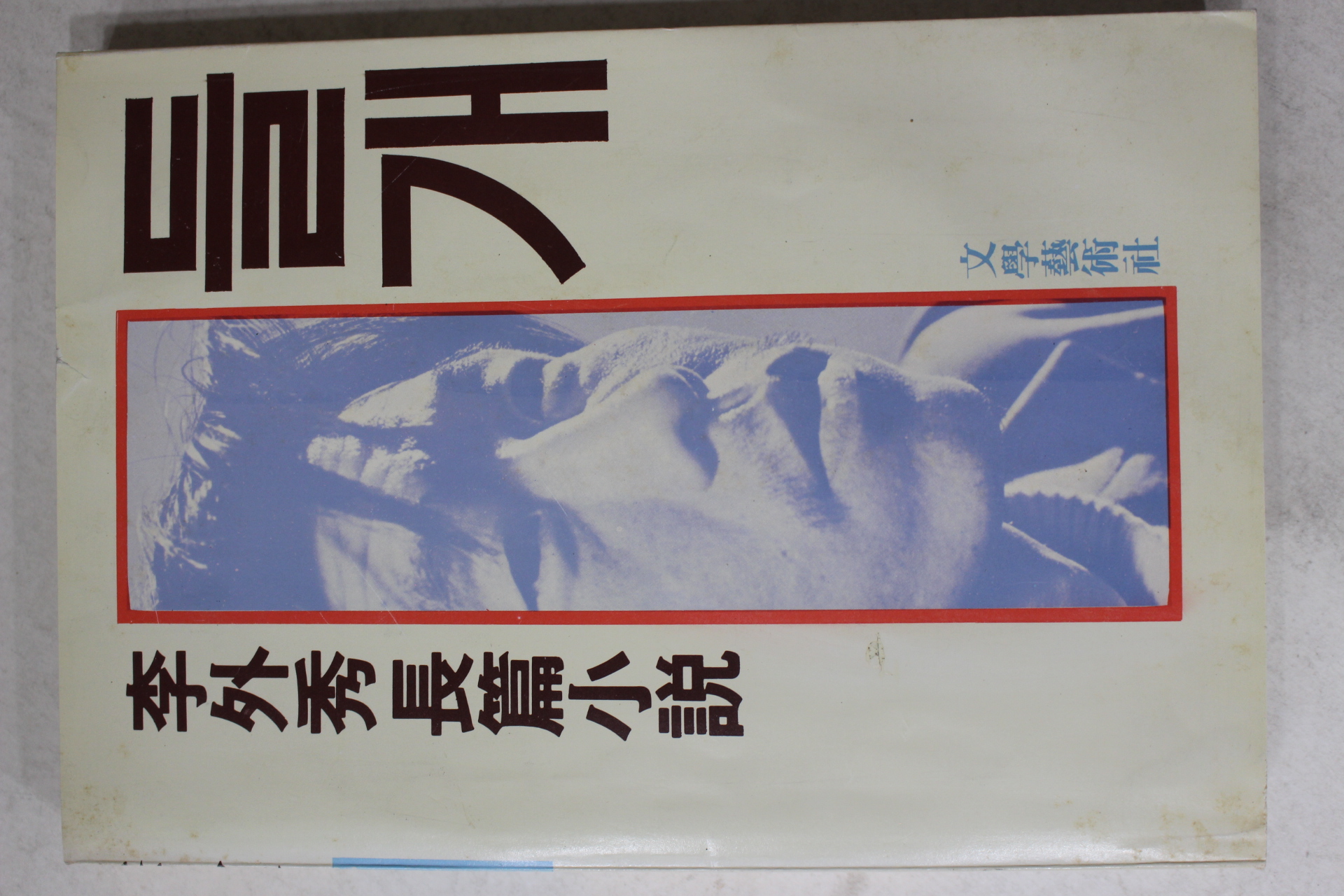 1983년 이외수(李外秀)소설 들개