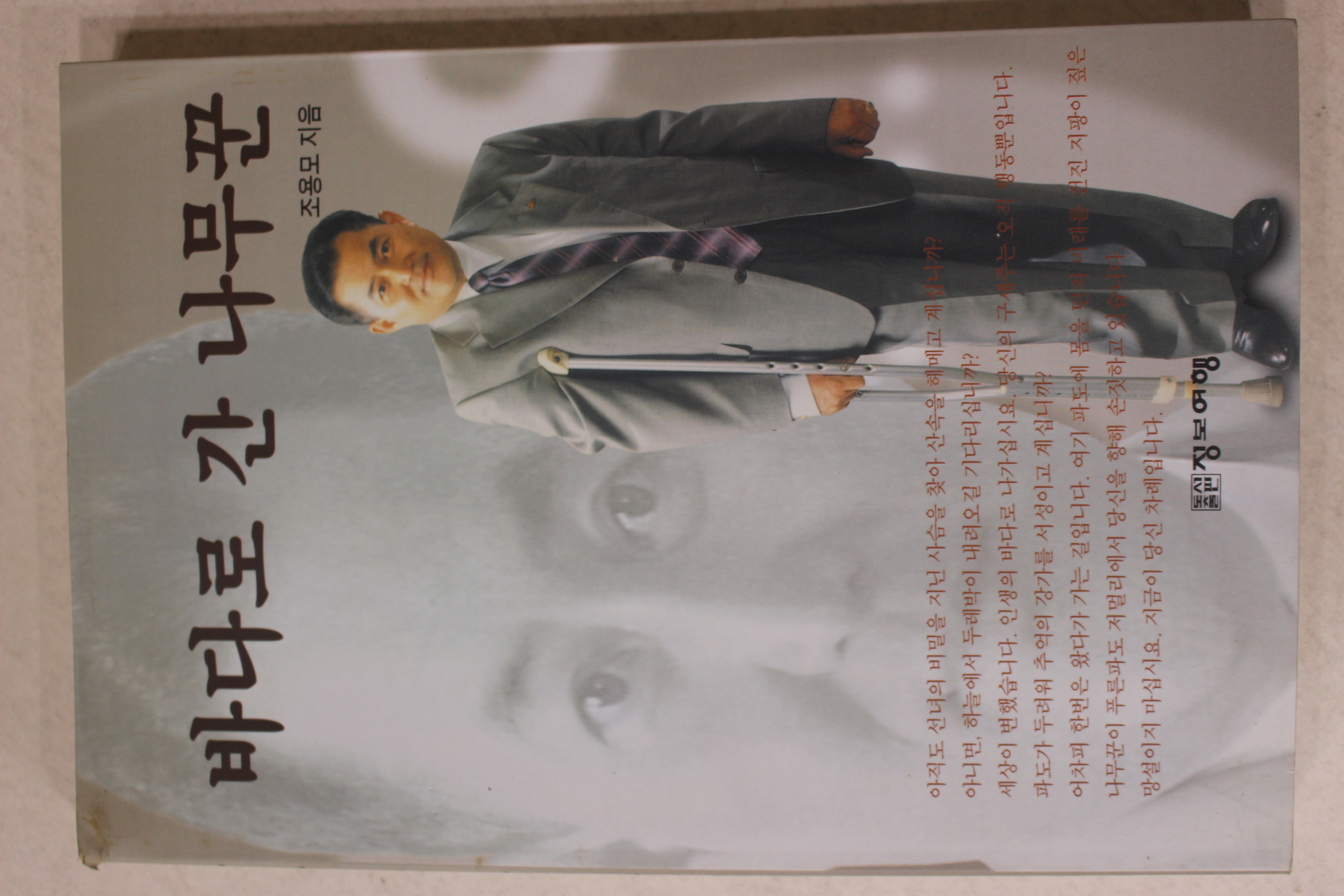 2001년초판 조용모 바다로 간 나무꾼