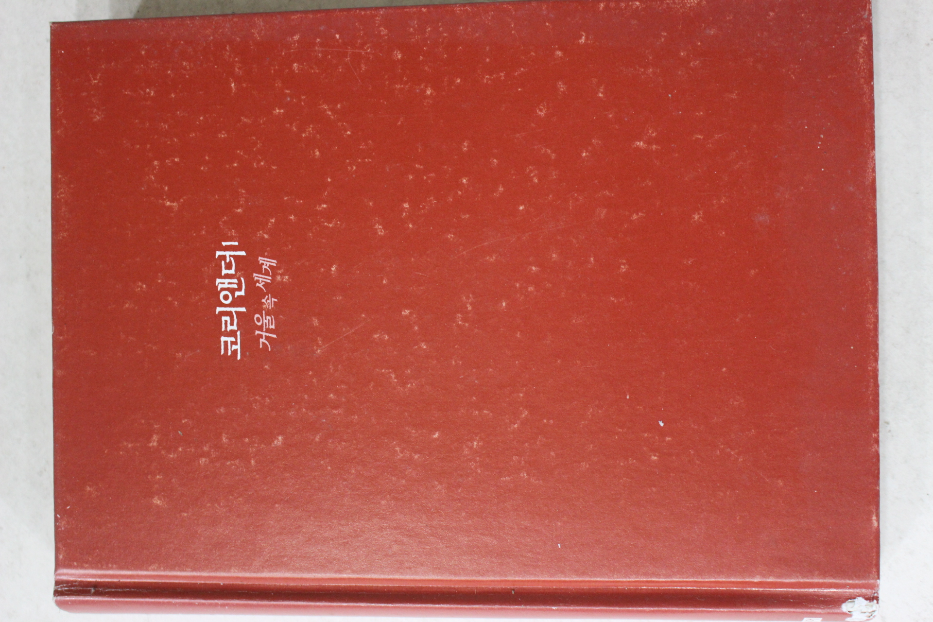 2008년 샐리가드너 코리앤더 거울속세계