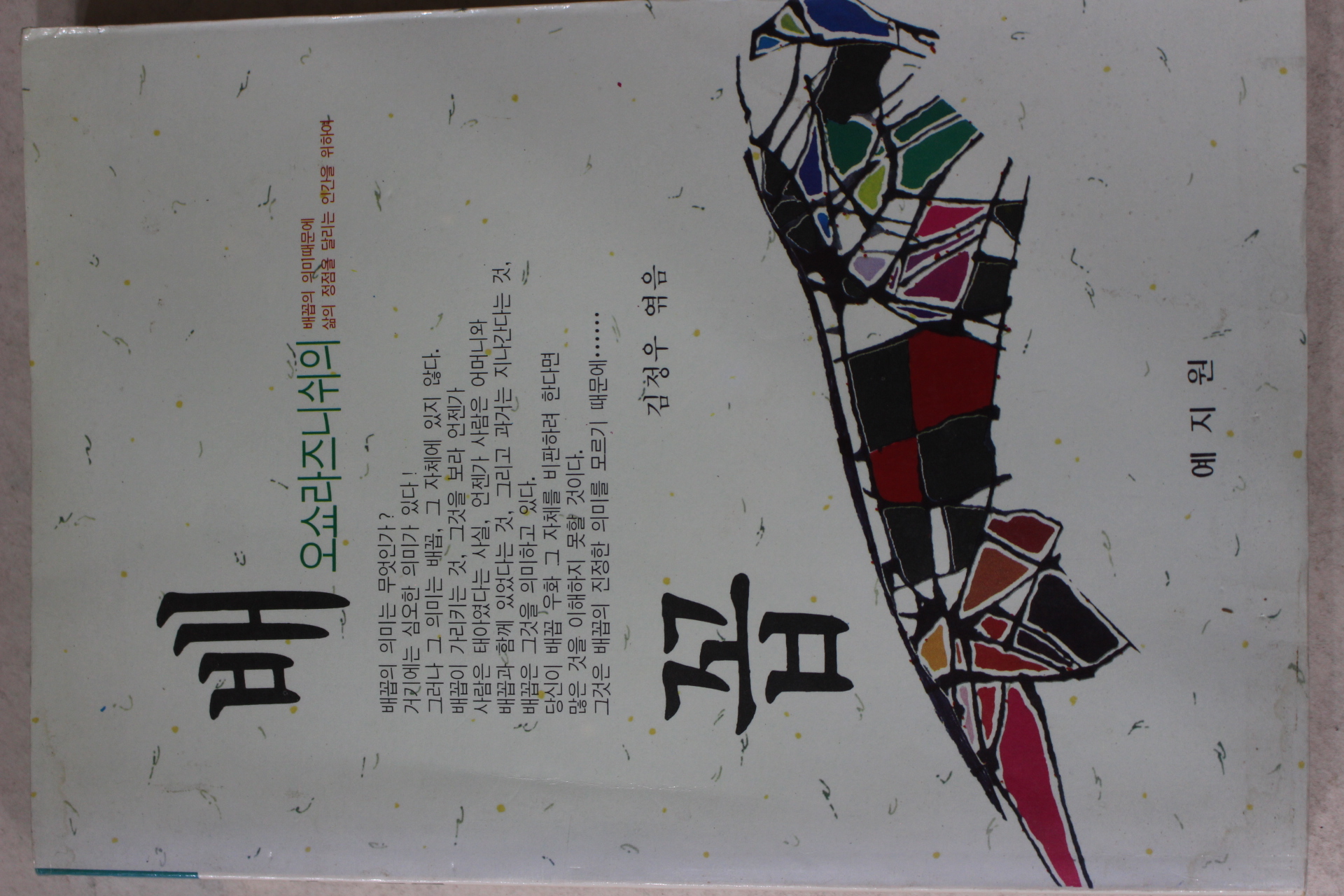 1991년 오쇼라즈니쉬 김정우엮음 배꼽