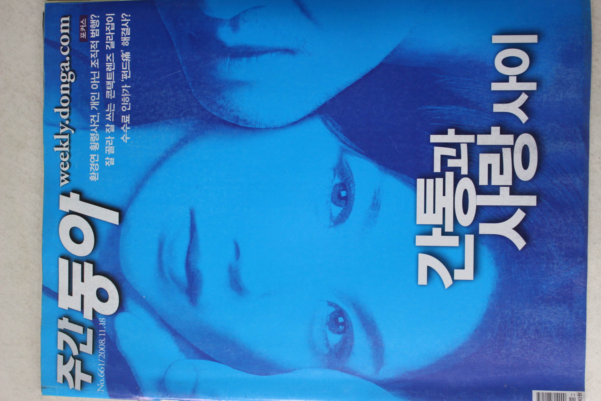 2008년 주간동아 11월18일자