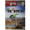 2004년 주간동아 5월13일자