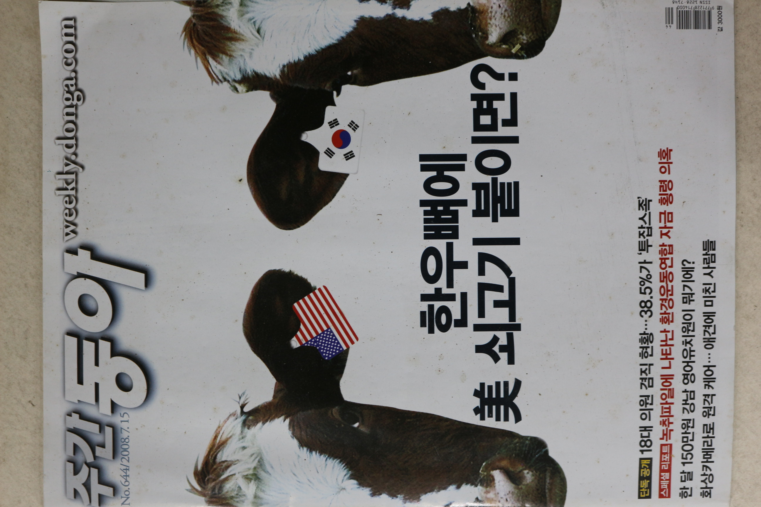 2008년 주간동아 7월15일자
