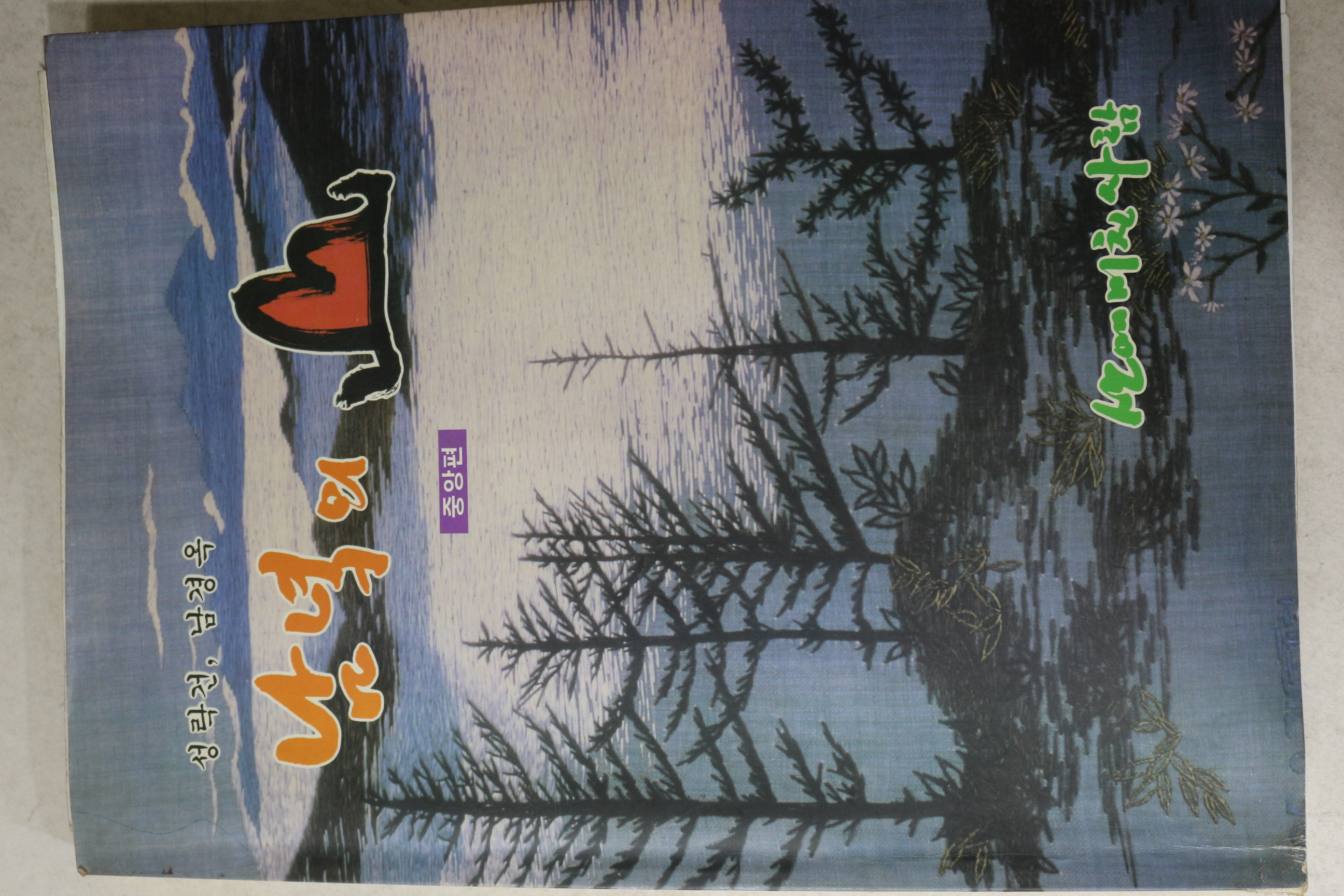 1996년 남녁의 산