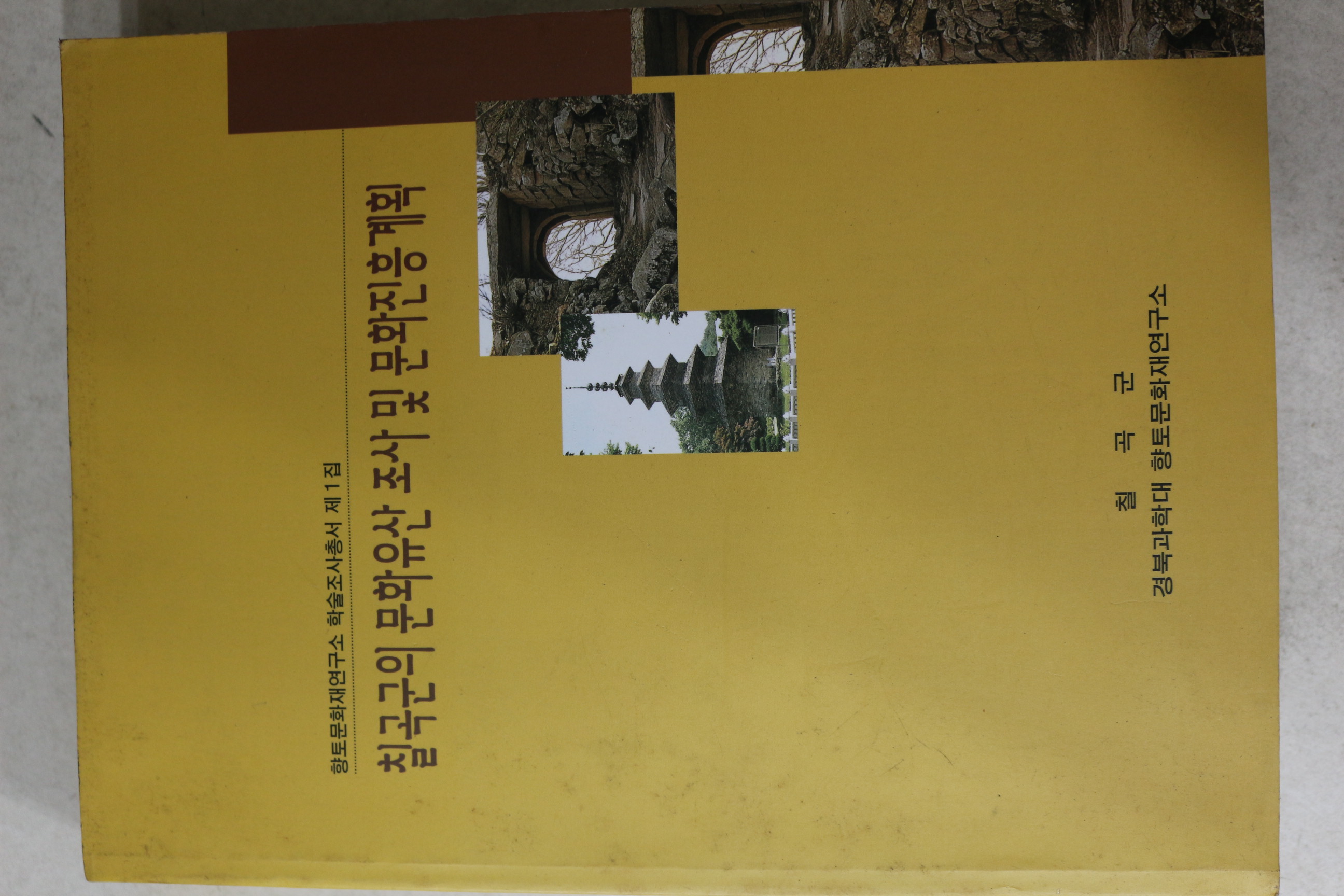 1999년 칠곡군의 문화유산조사 및 문화진흥계획