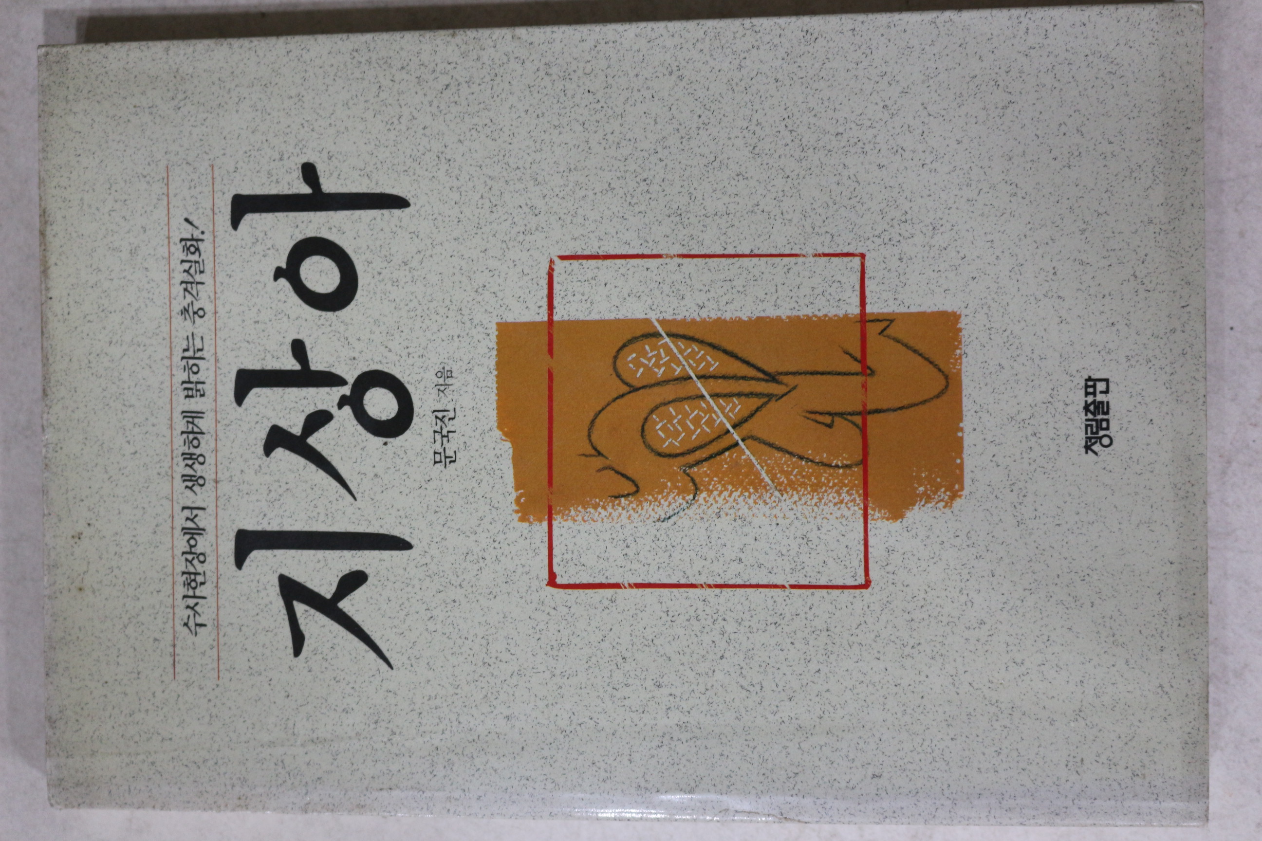 1990년초판 문국진 지상아