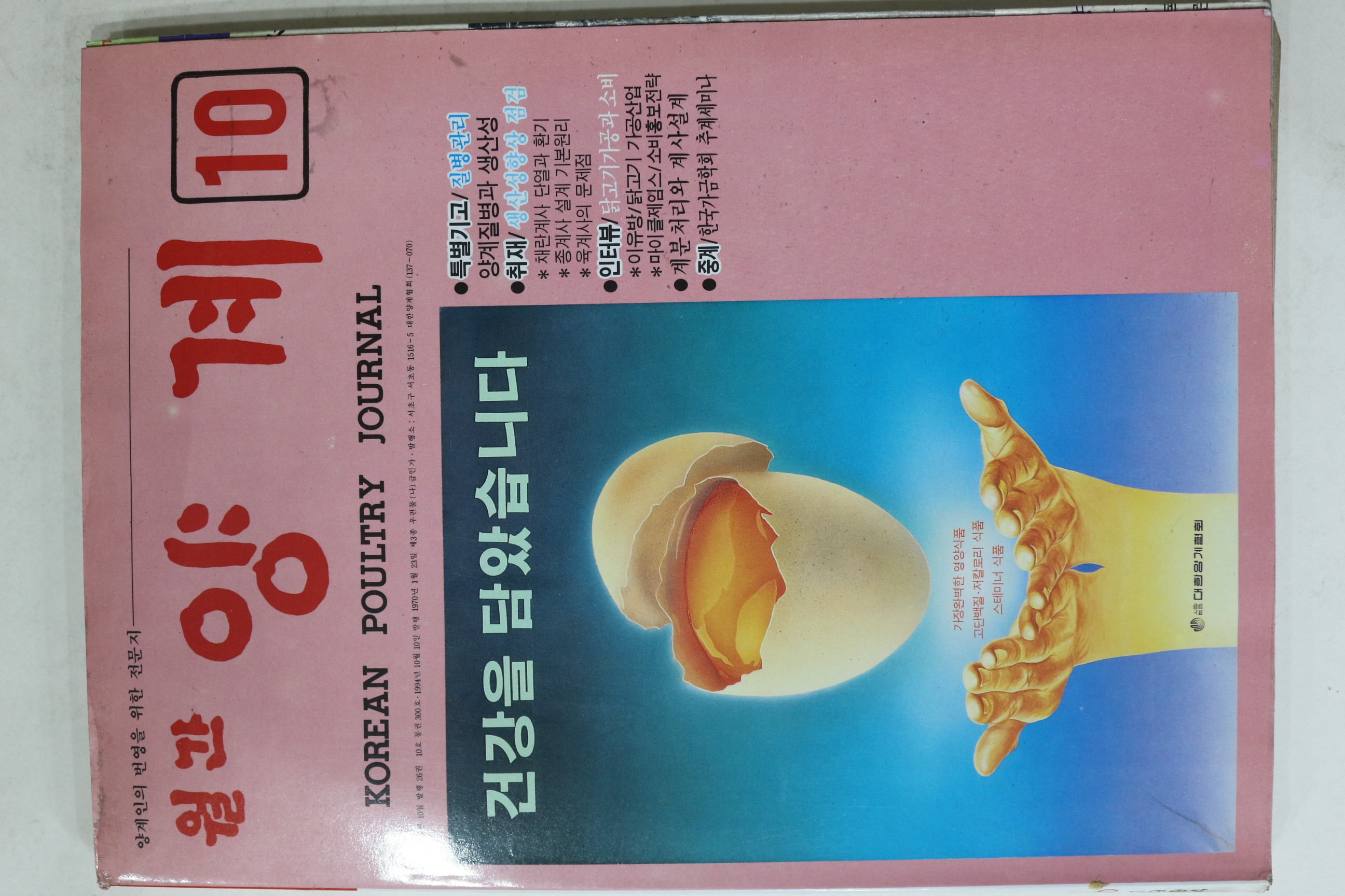 1994년 월간 양계 10월호