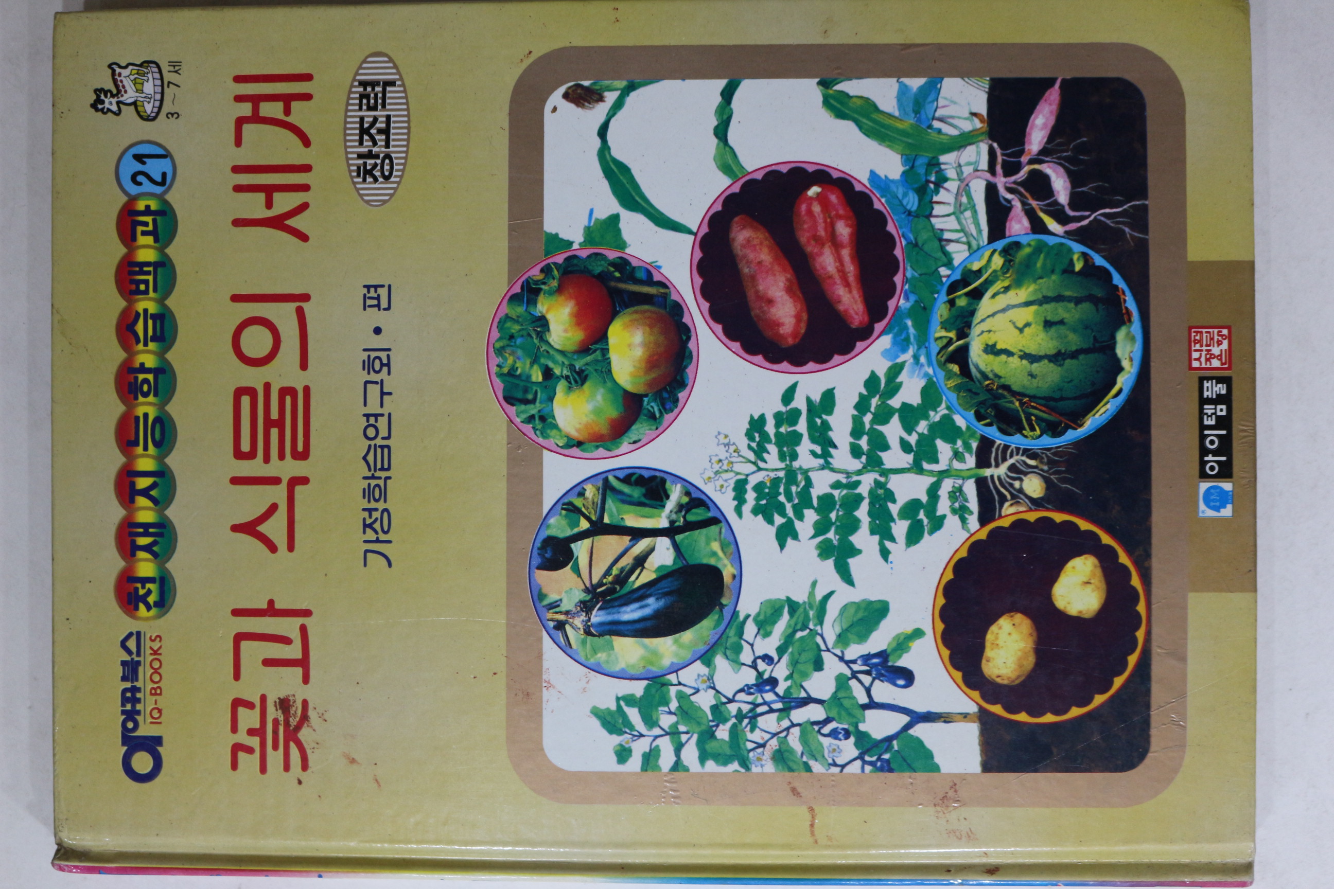 1992년 꽃과 식물의 세계