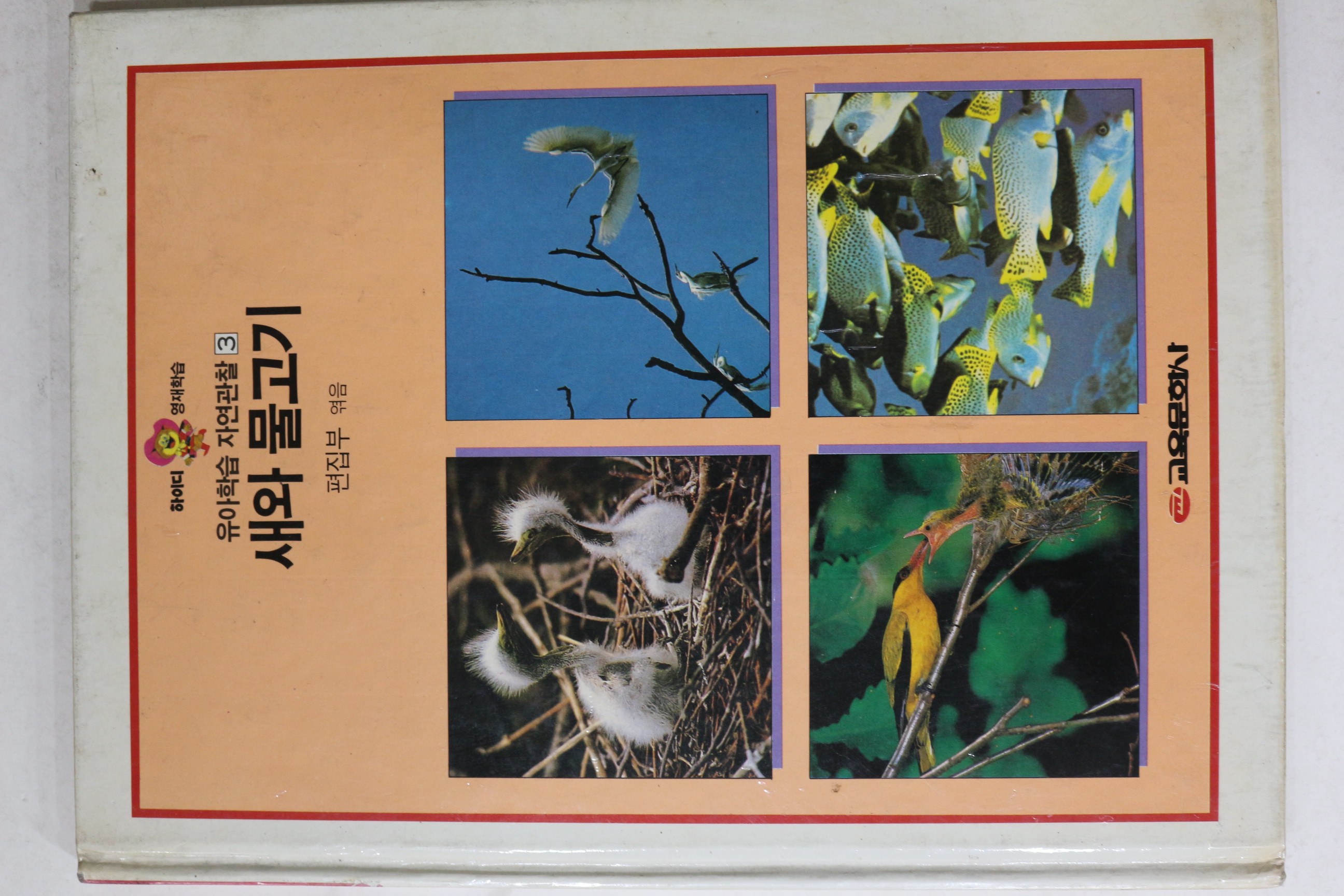 1989년초판 교육문화 새와 물고기