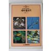 1989년초판 교육문화 새와 물고기