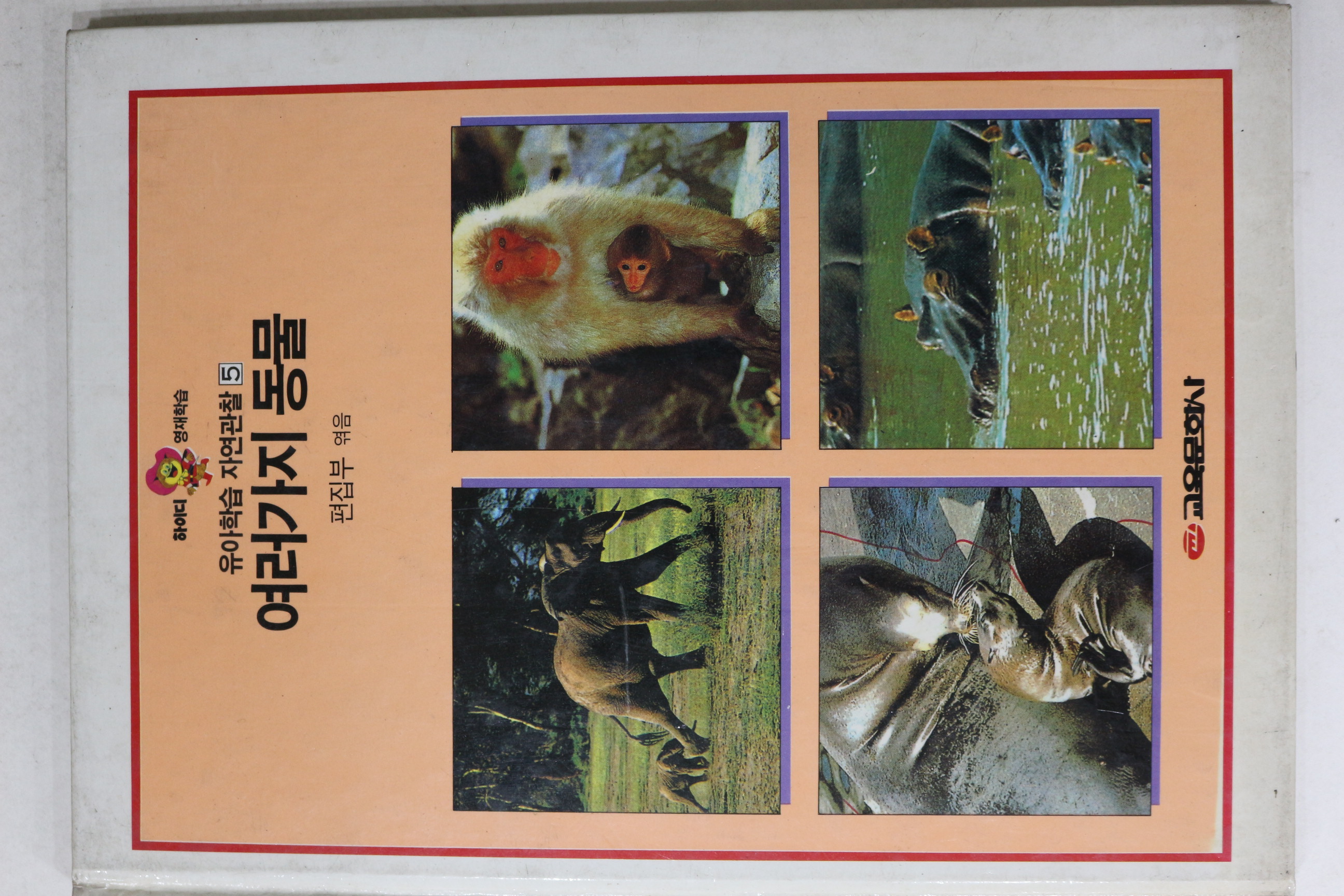 1989년초판 교육문화 여러가지 동물