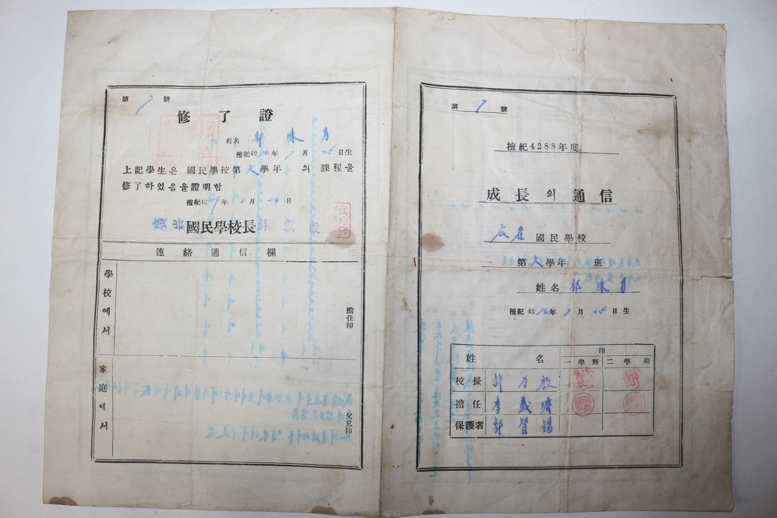 1955년 국민학교 통신표