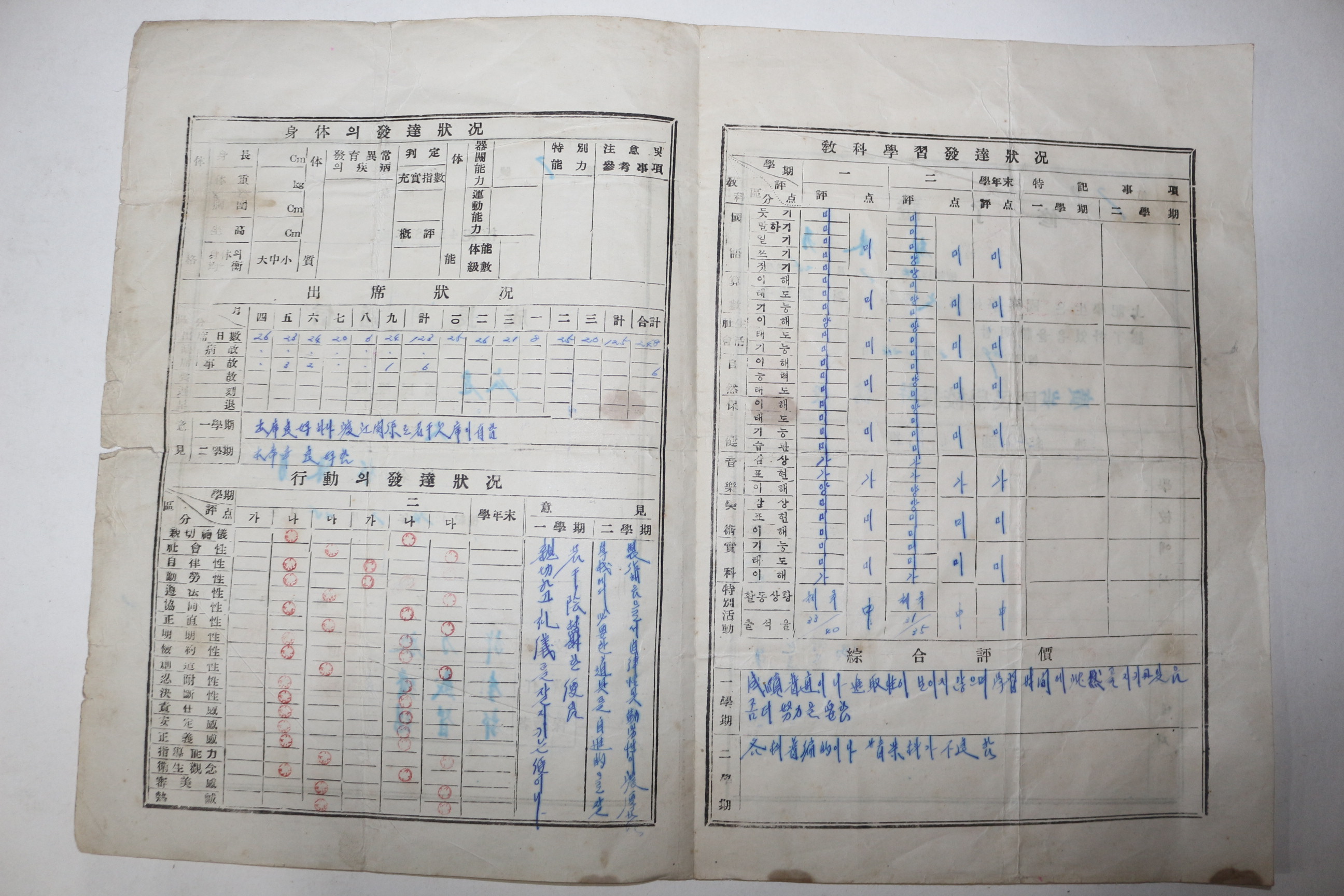 1955년 국민학교 통신표