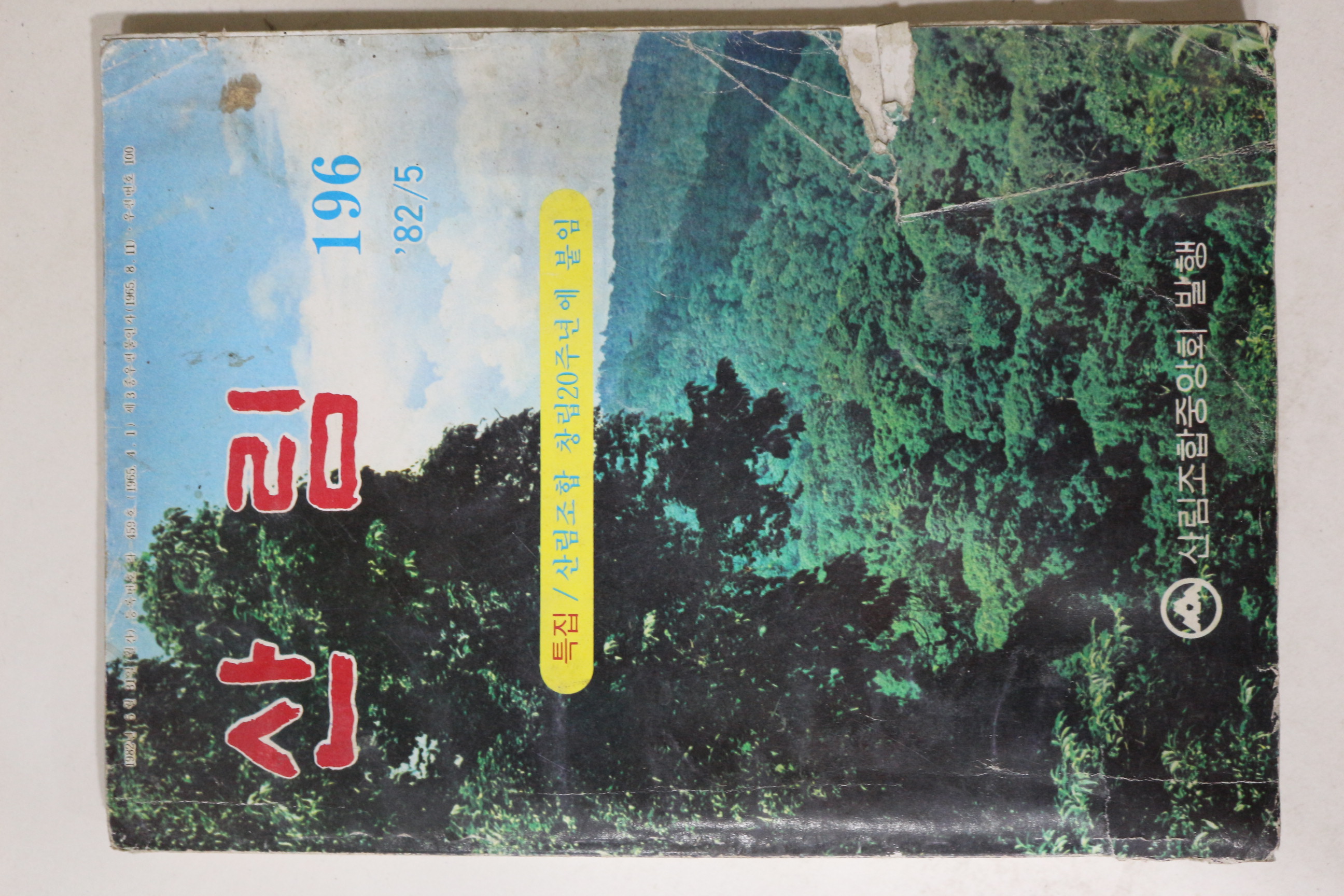 1982년 산림 5월호