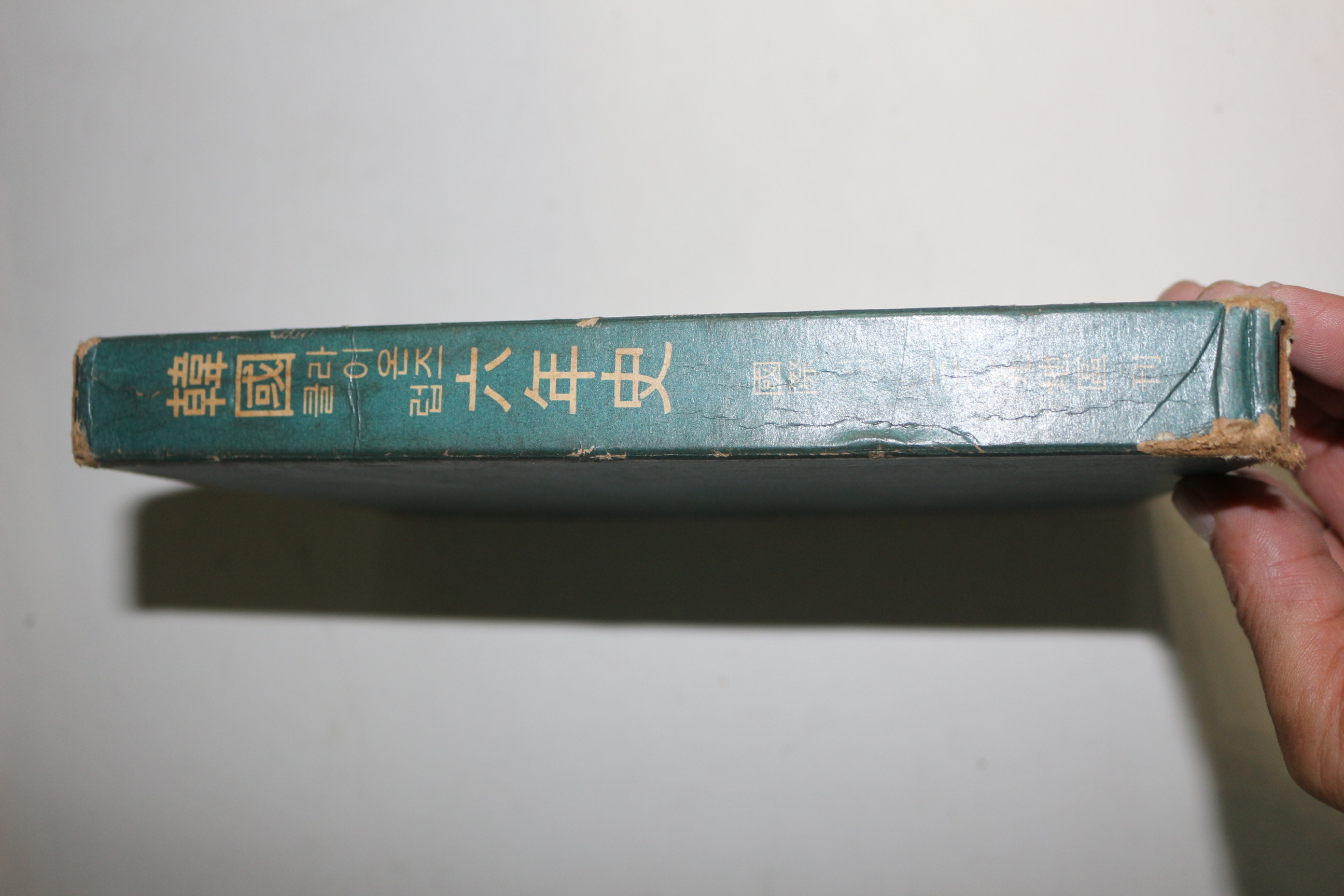 1965년 한국라이온즈클럽육년사