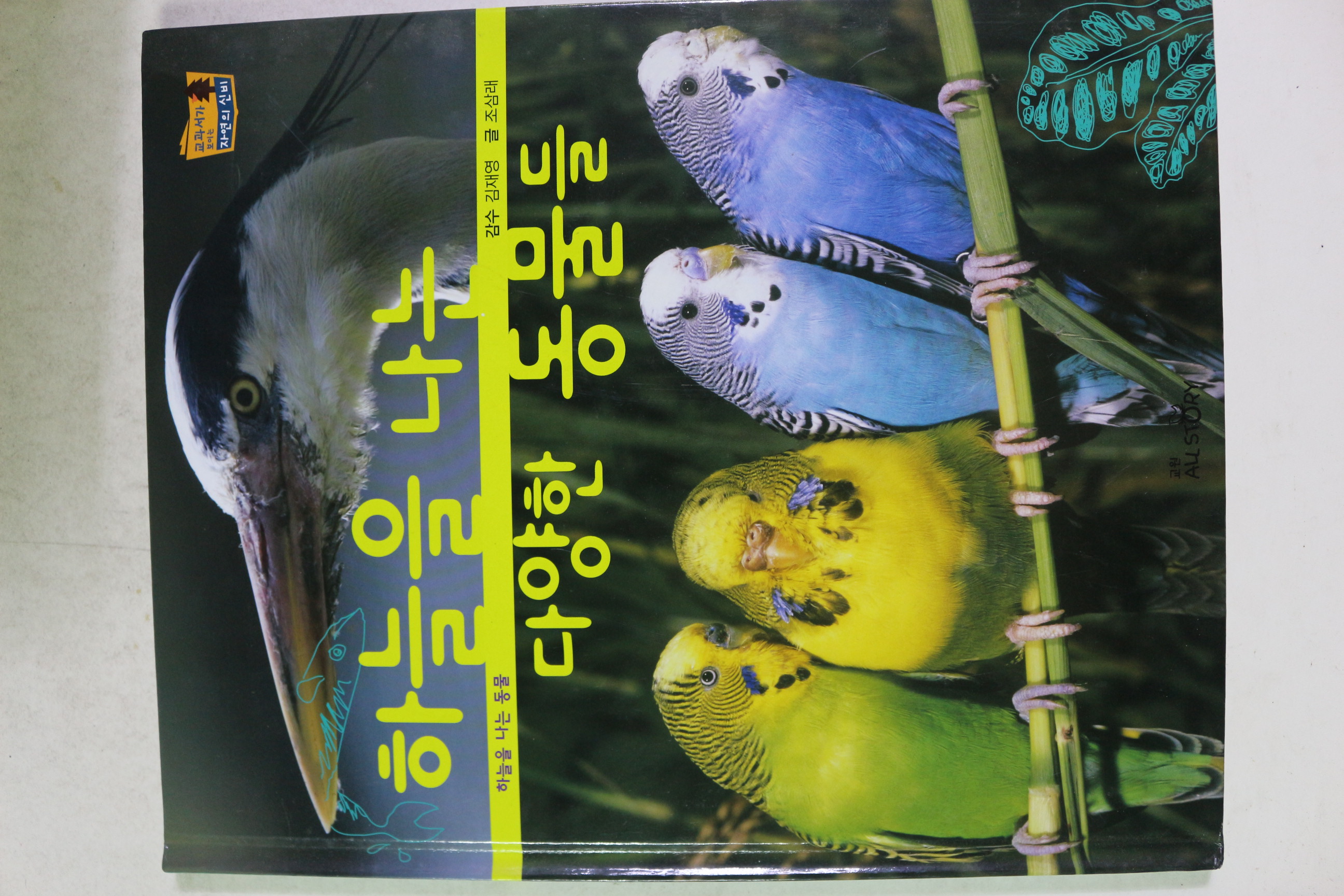 2010년 조삼래 하늘을 나는 다양한 동물들
