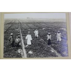1928년(소화3년) 충남 논산 농장 사진