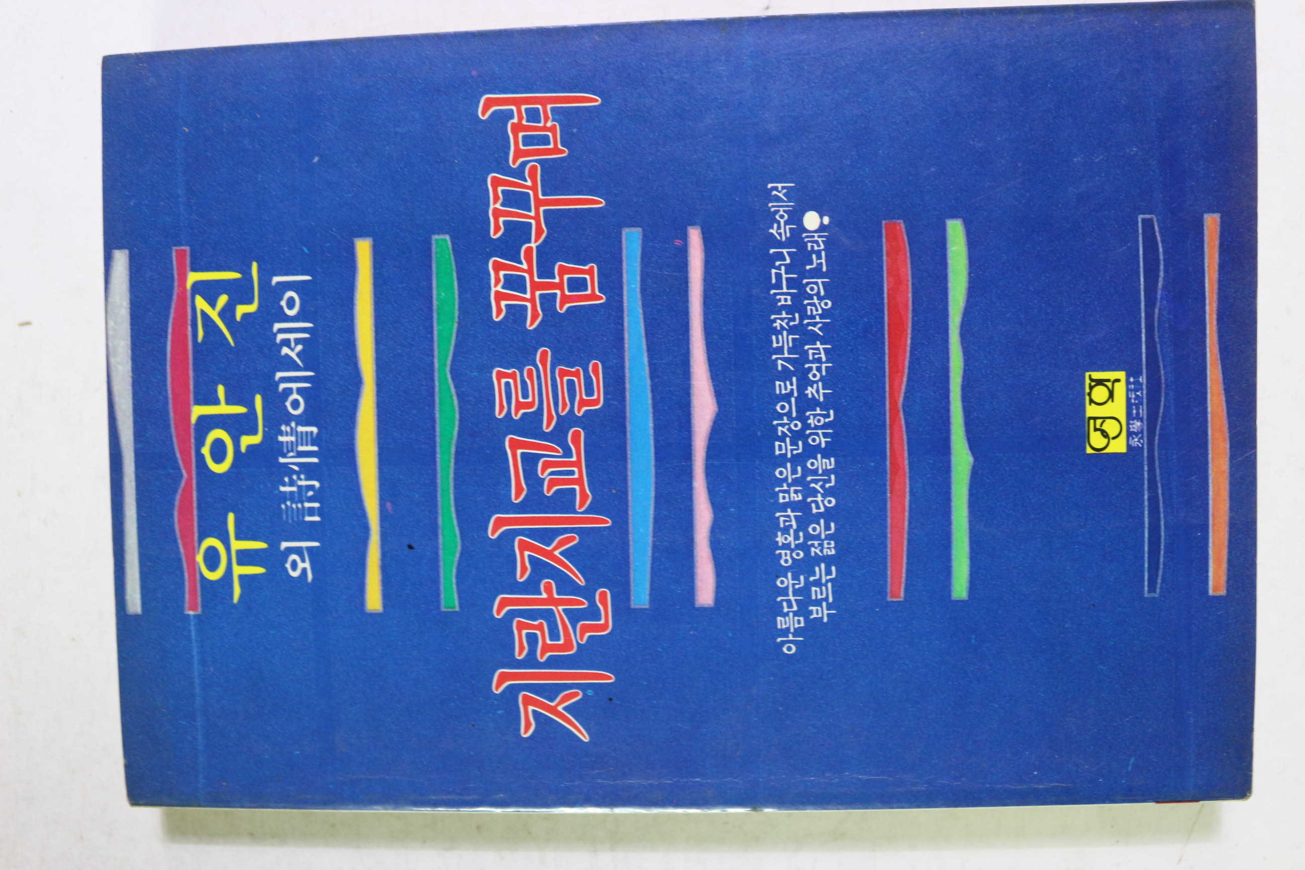 1986년 유안진 지란지교를 꿈꾸며
