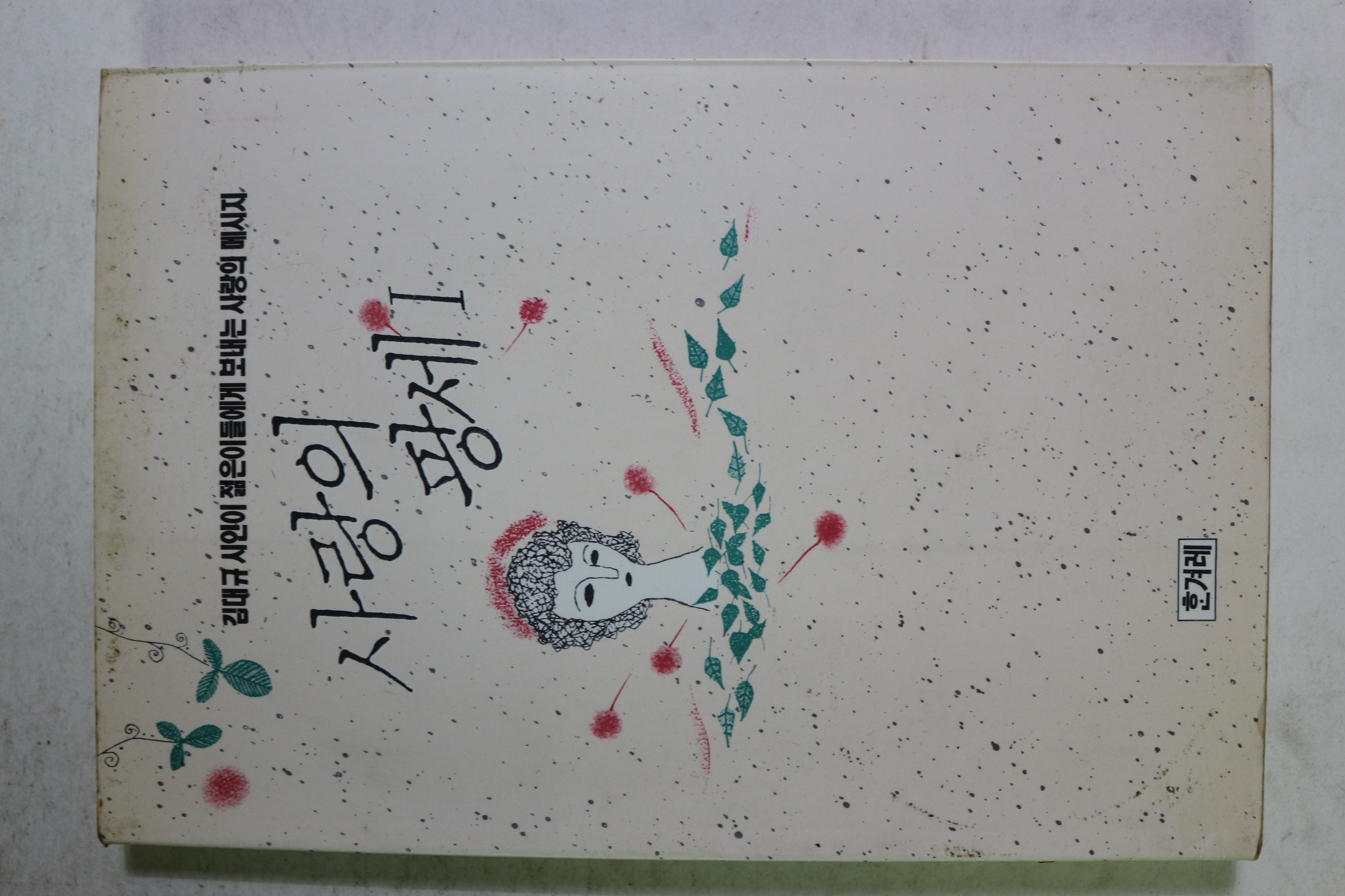1990년 김대규 사랑의 팡세
