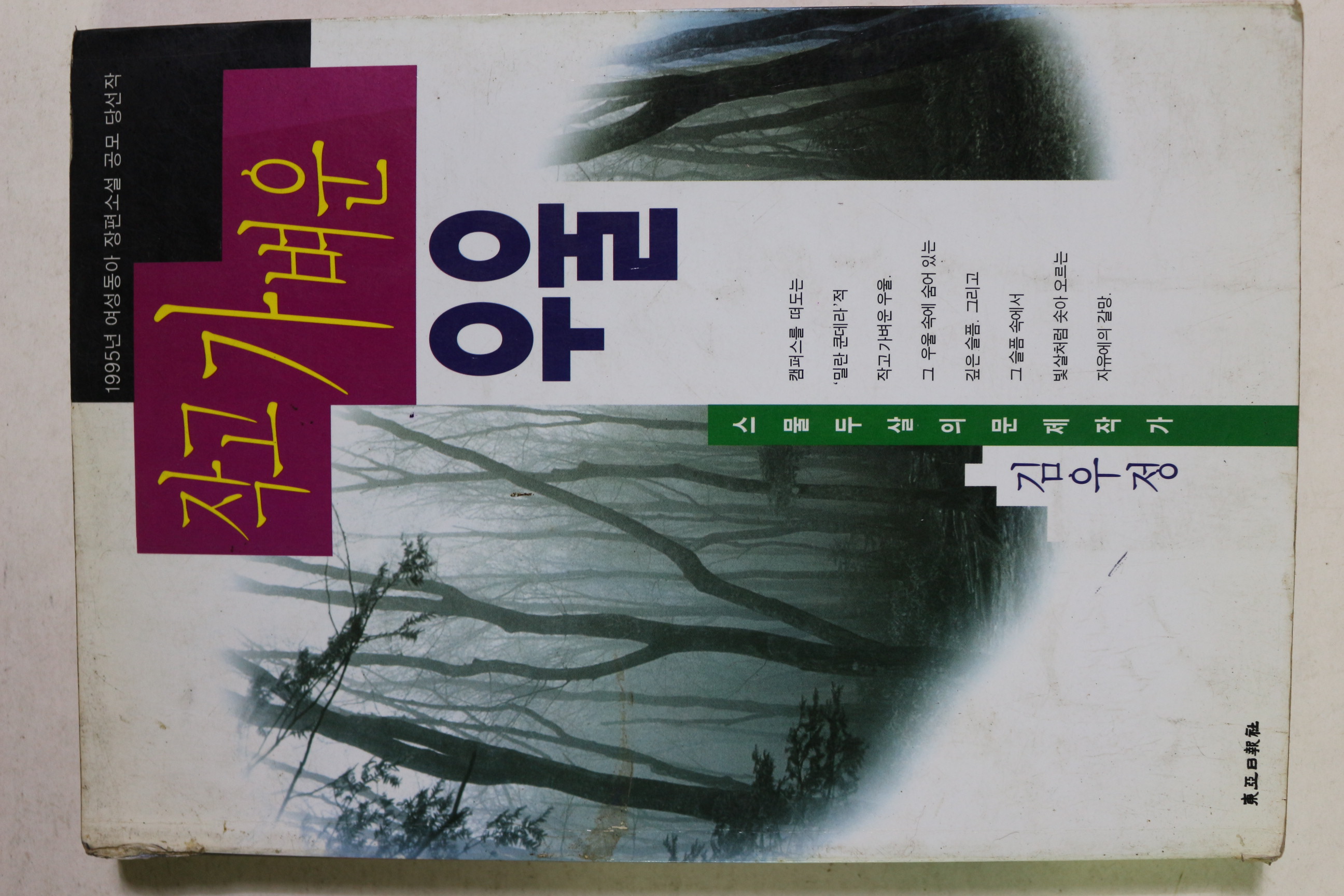 1995년 김우정 작고 가벼운 우울