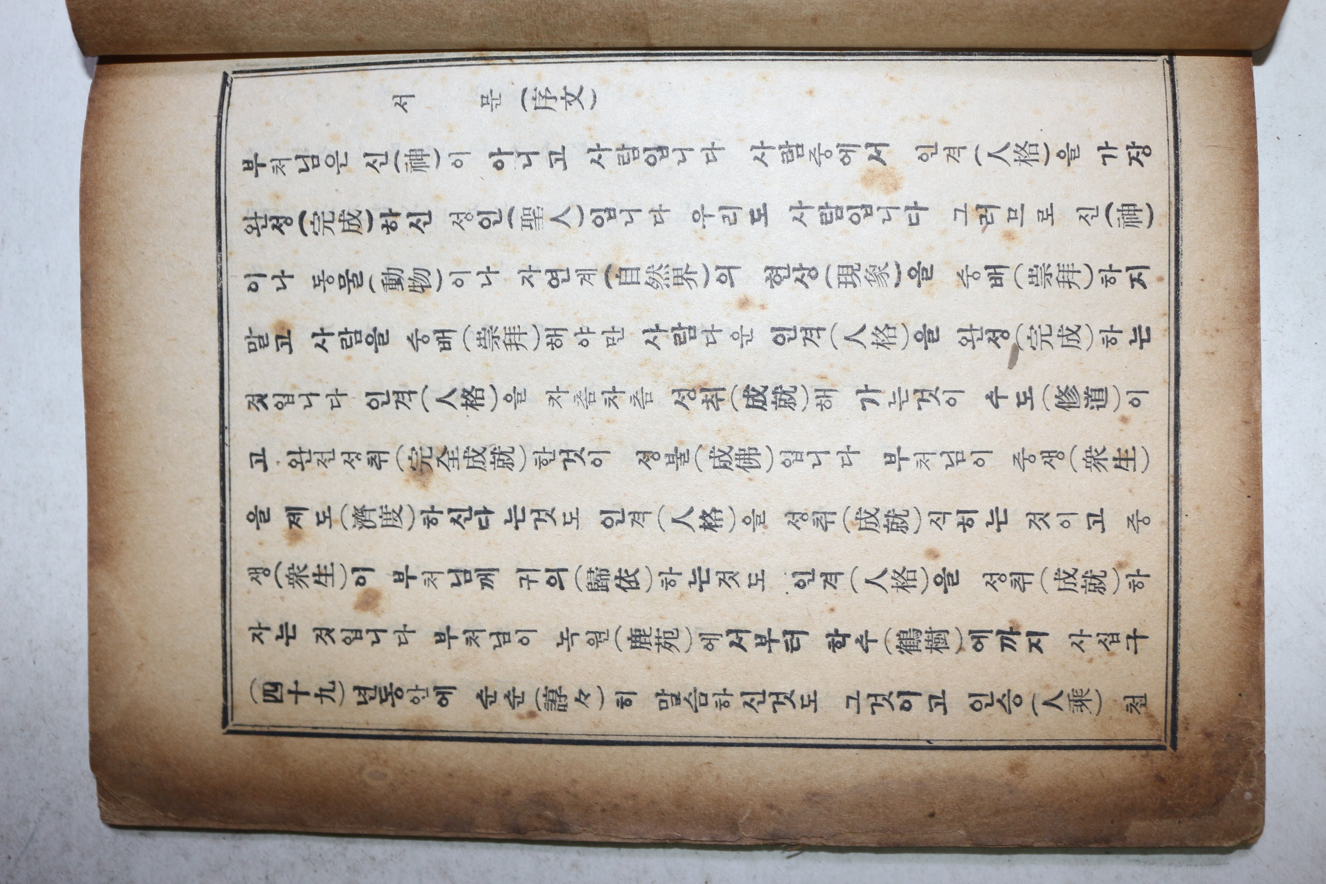 1957년 선생동자경(善生童子經)