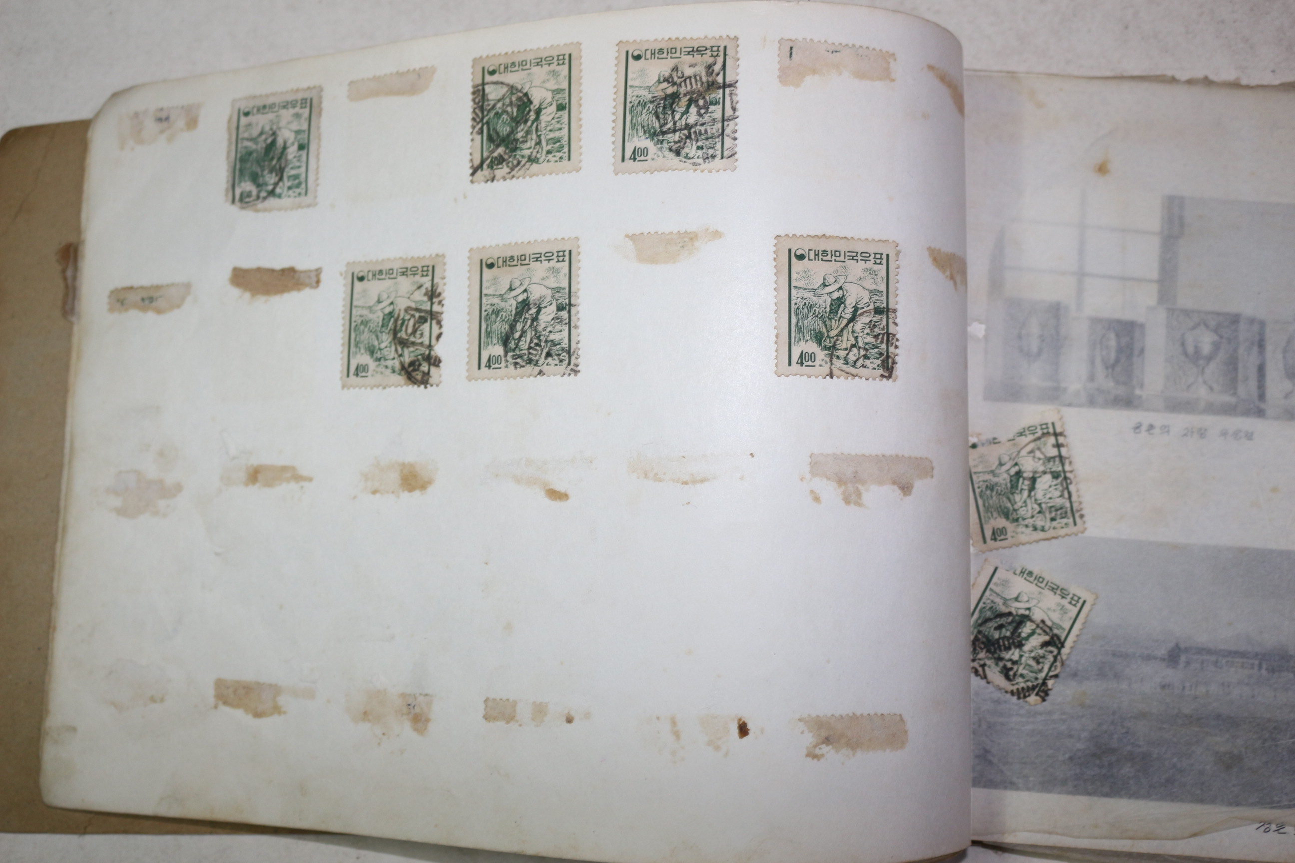 1962년 금촌국민학교 제30회 졸업기념 앨범