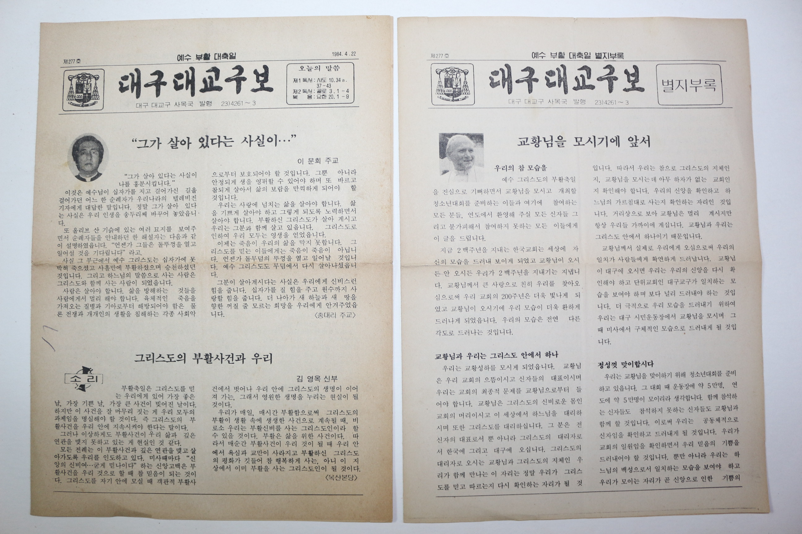 1984년 천주교 대구대교구보
