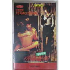 656-1996년 타락유희 비디오테이프