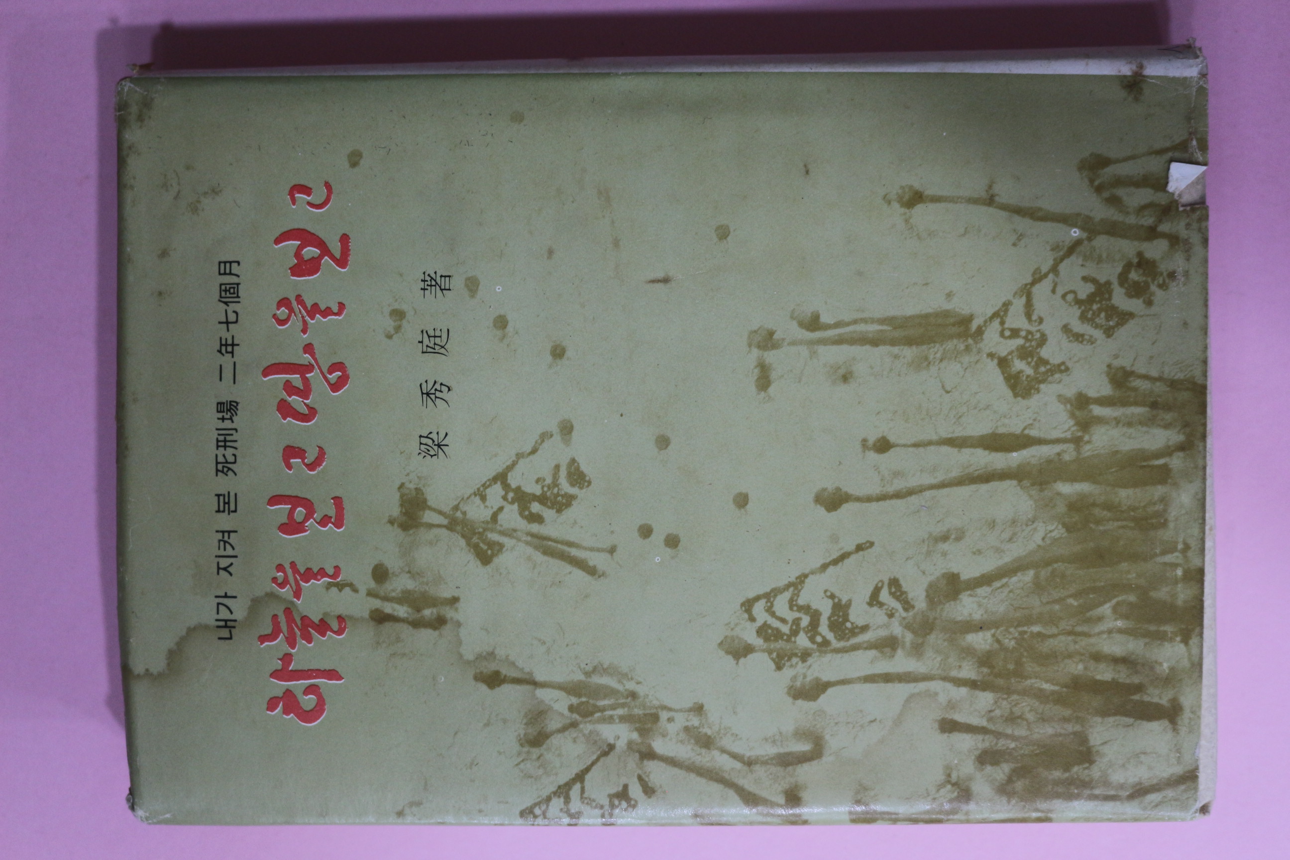 1976년 양수정 하늘을 보고 땅을 보고