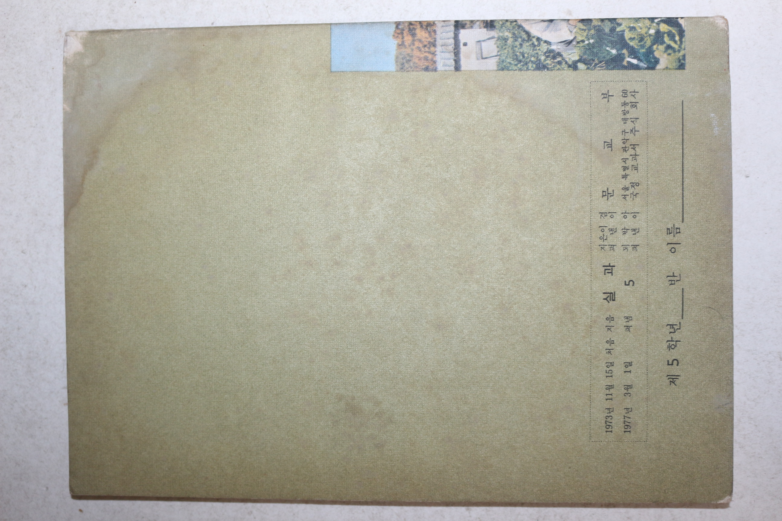 1977년 실과 5