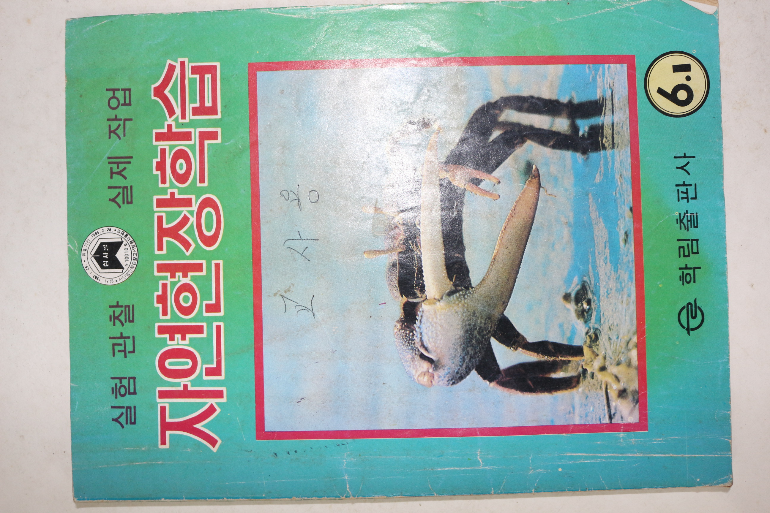 1984년 자연현장학습 6-1