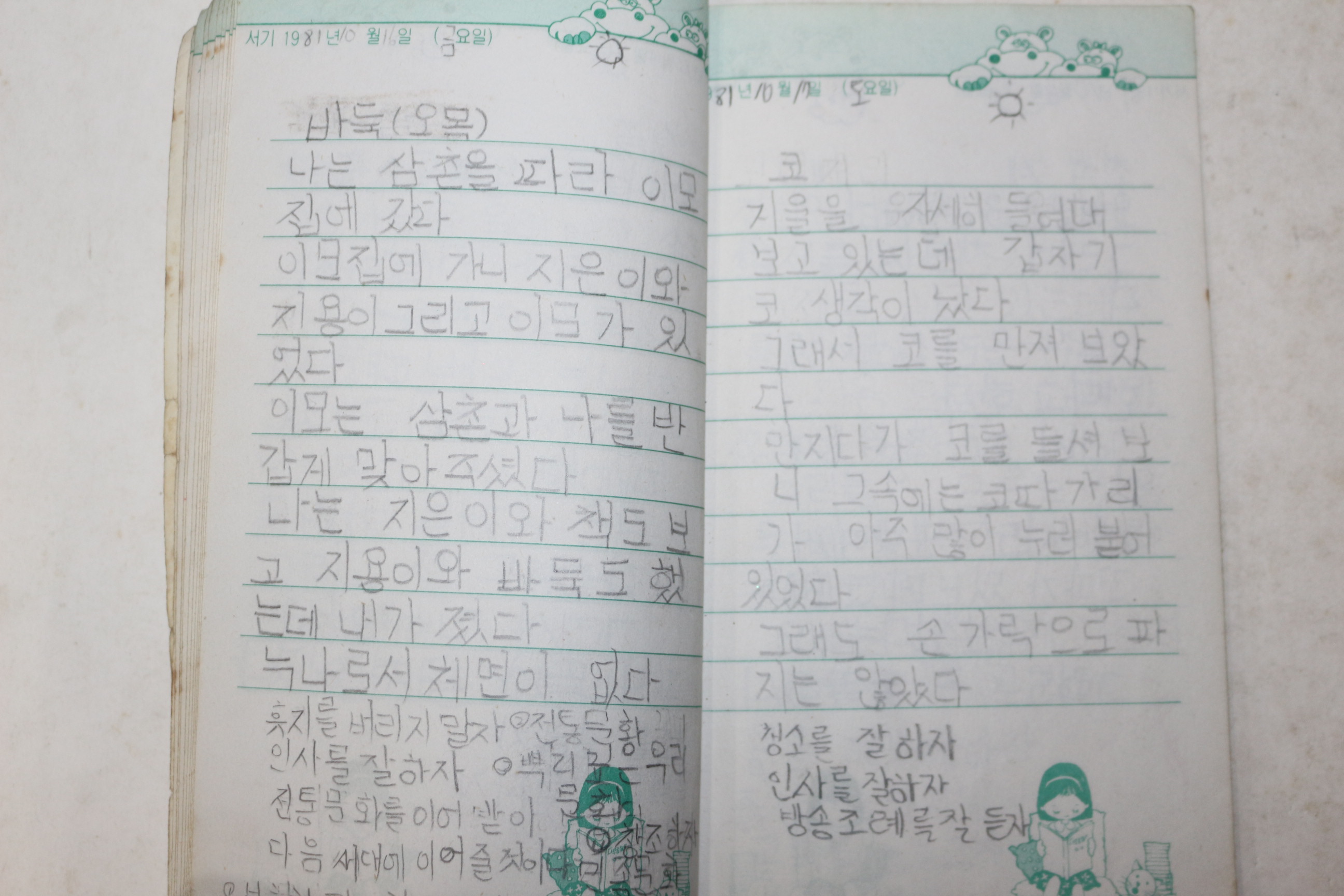 1981년 무궁화일기