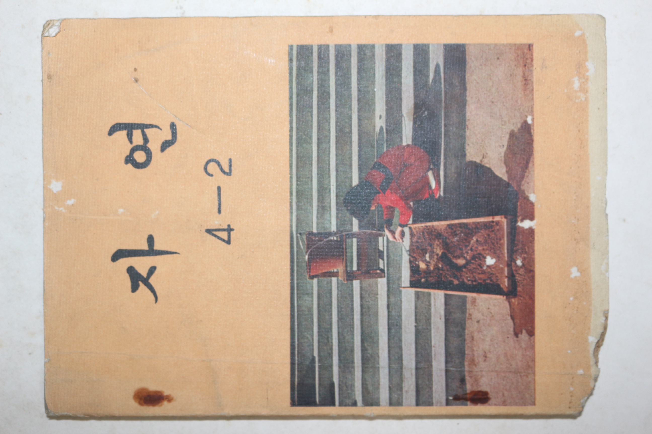 1979년 자연 4-2