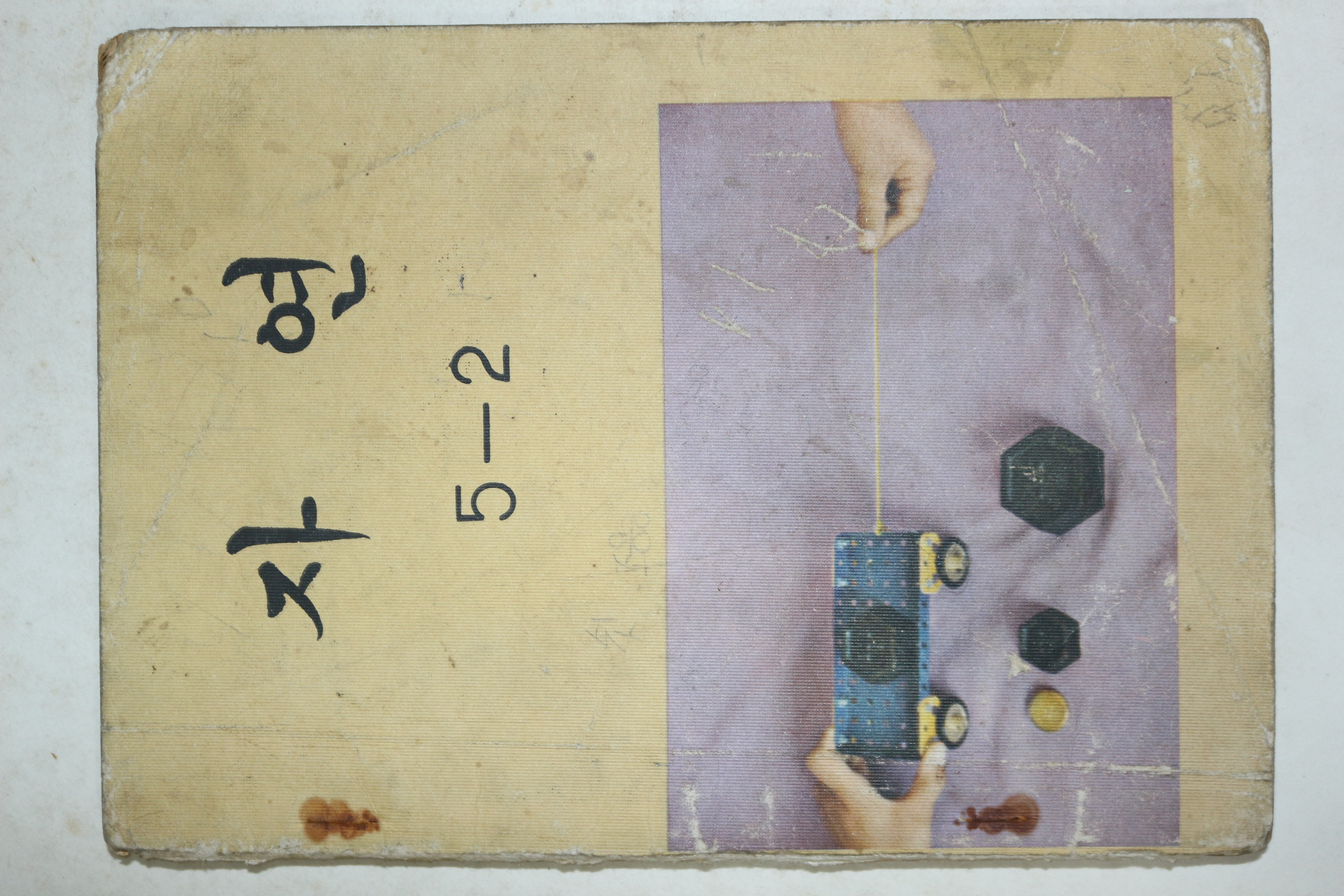 1982년 자연 5-2