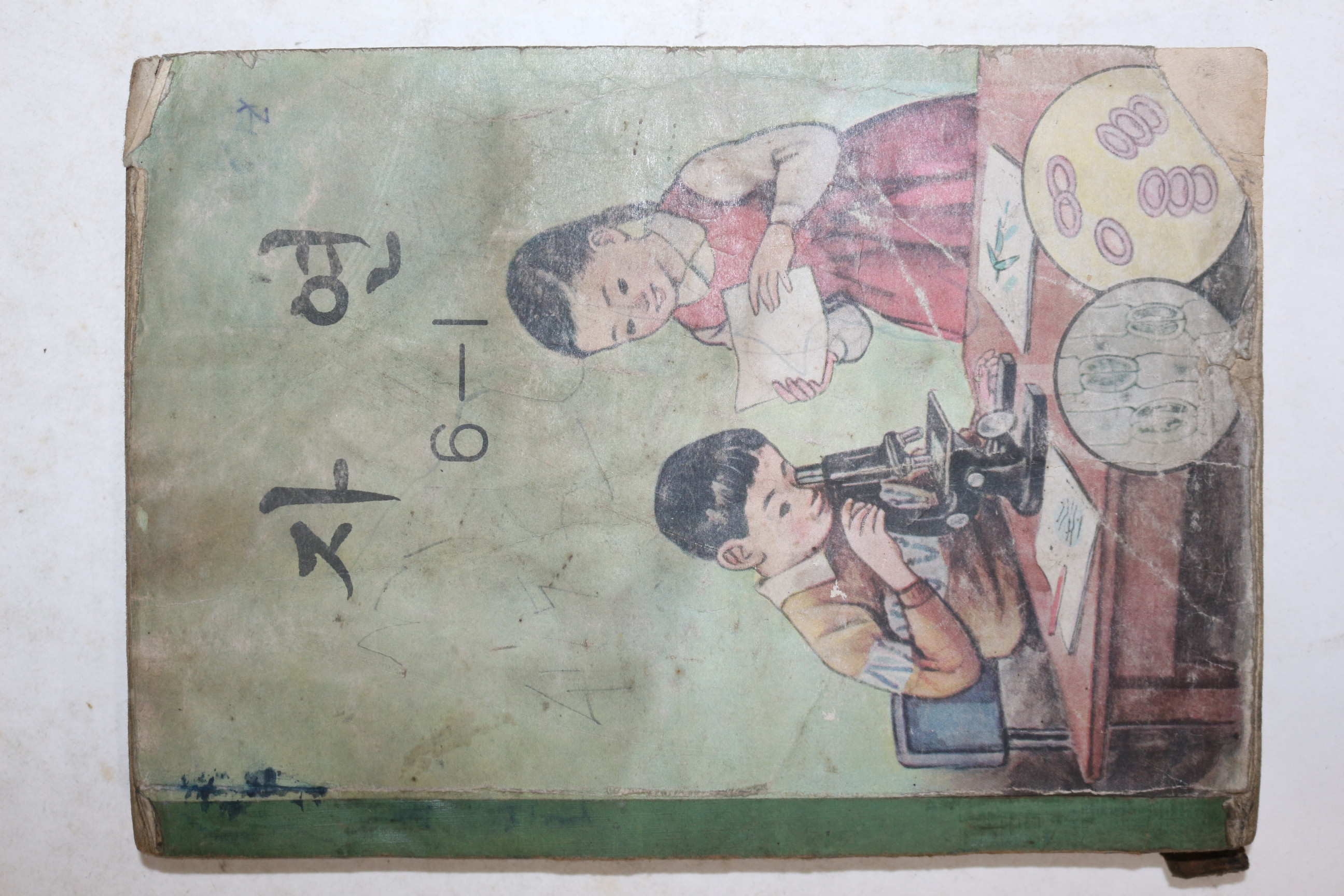 1972년 자연 6-1