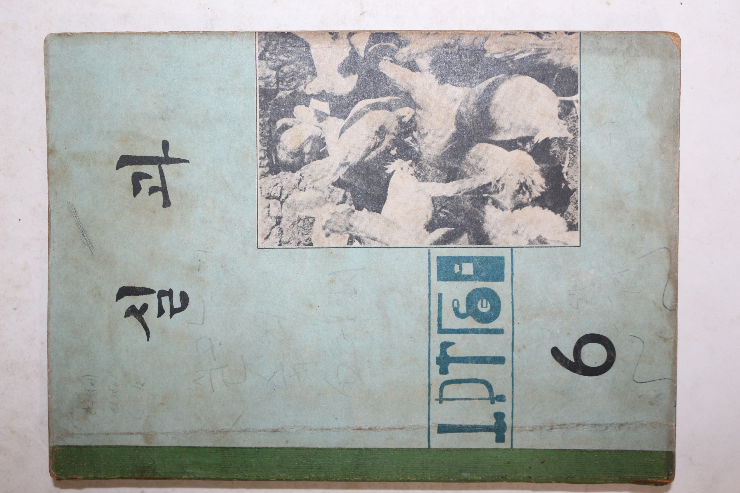 1970년 실과 6