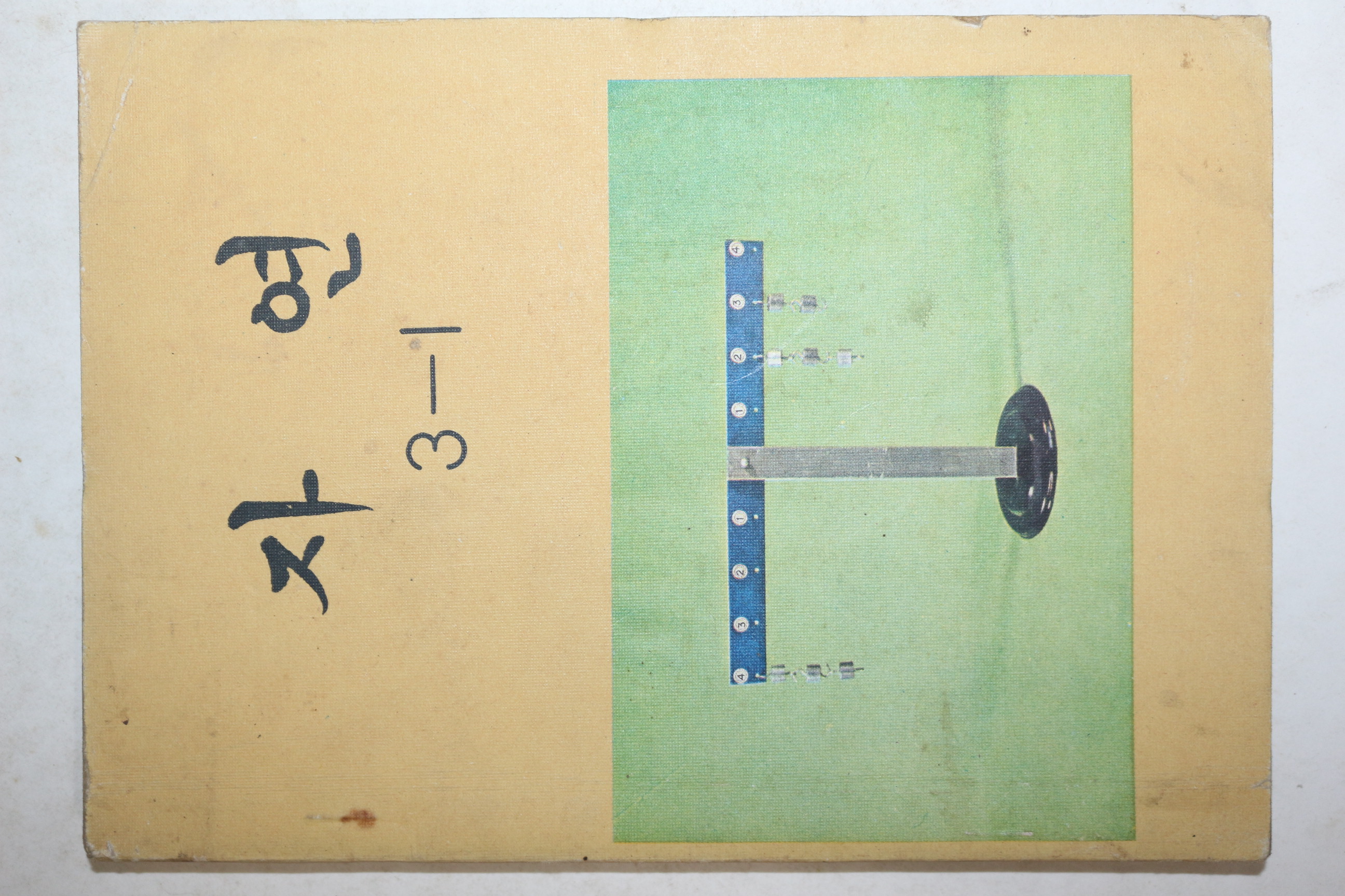 1981년 자연 3-1