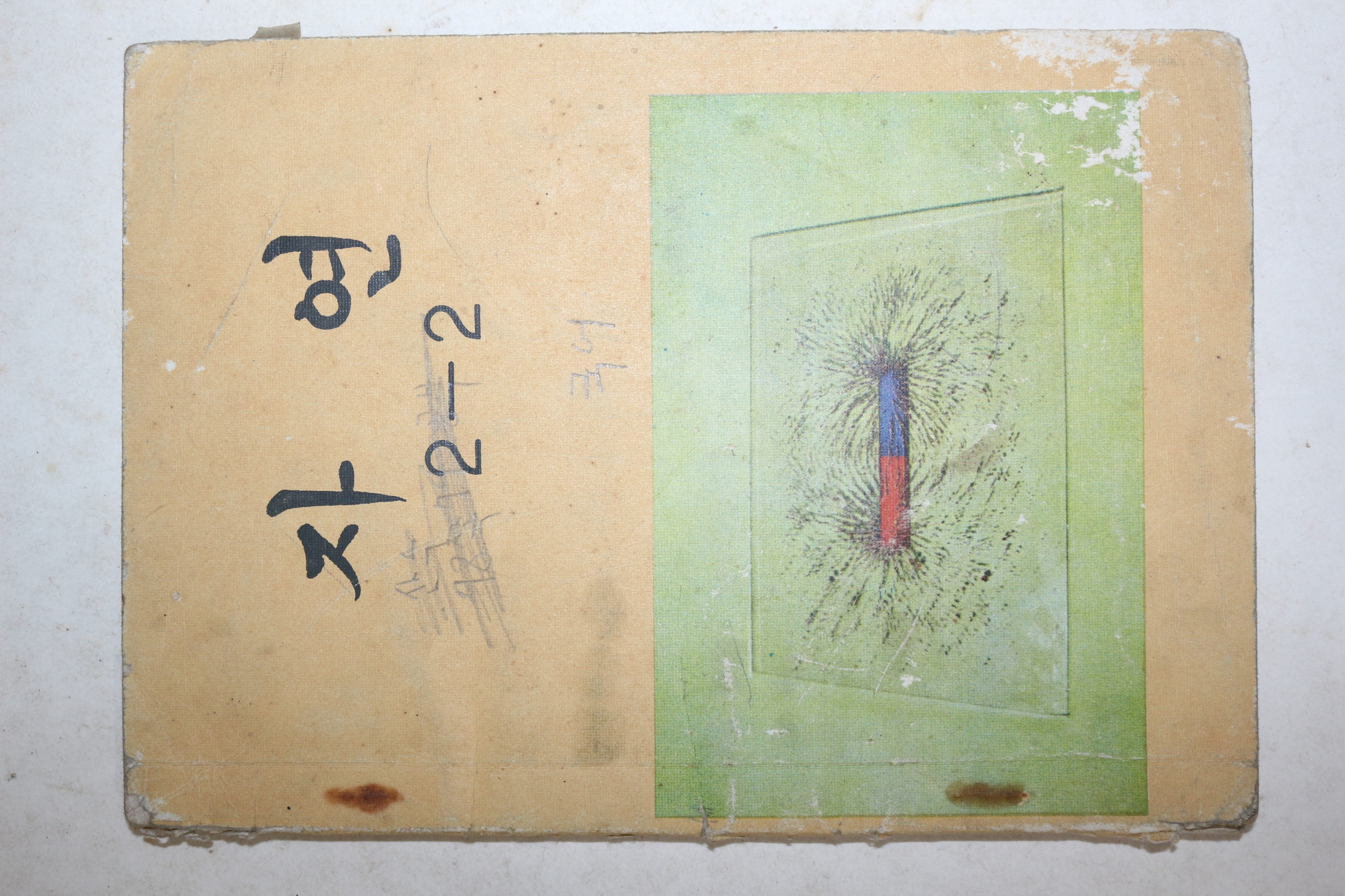 1980년 자연 2-2