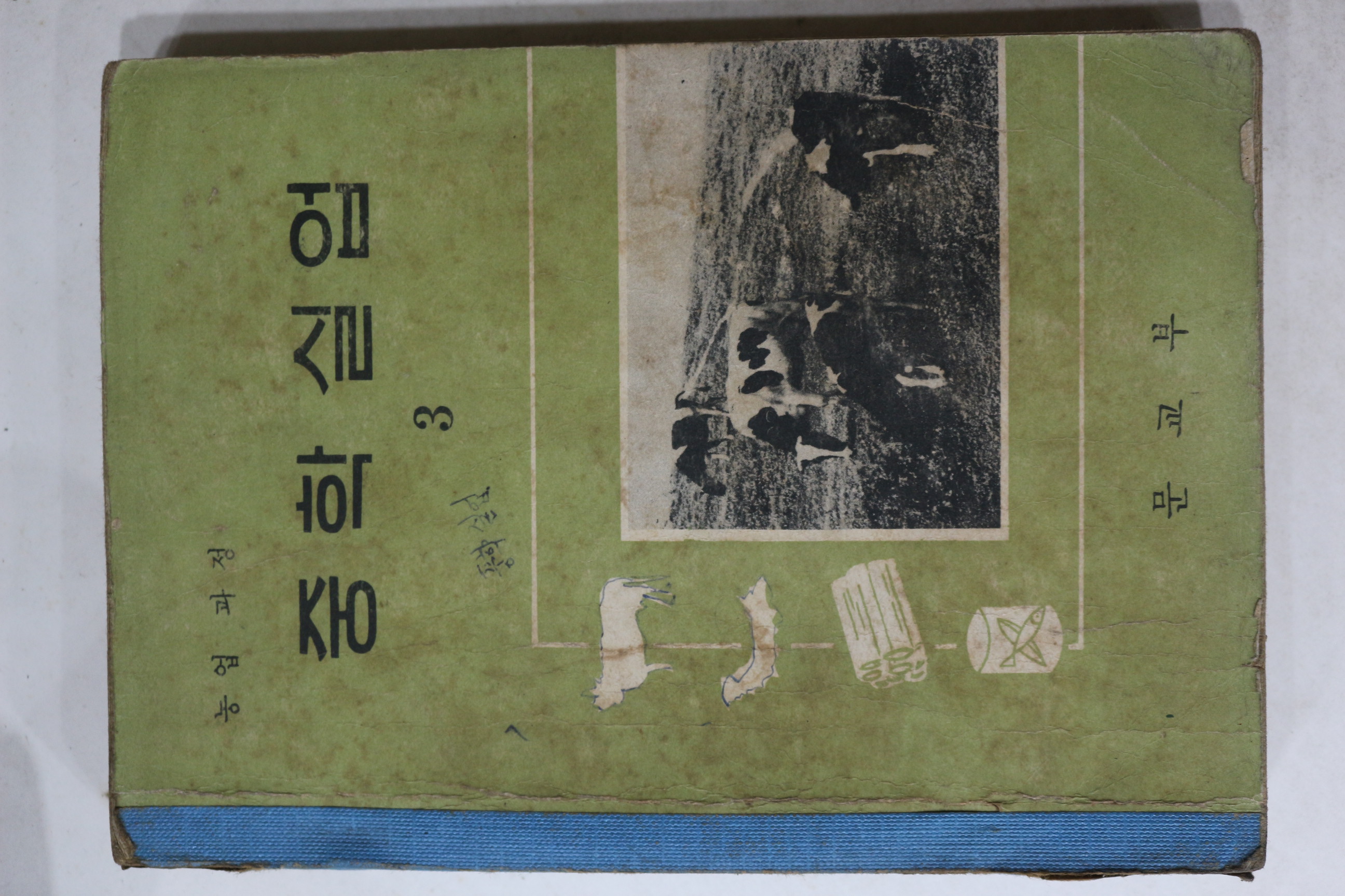 1960년대 중학실업 3