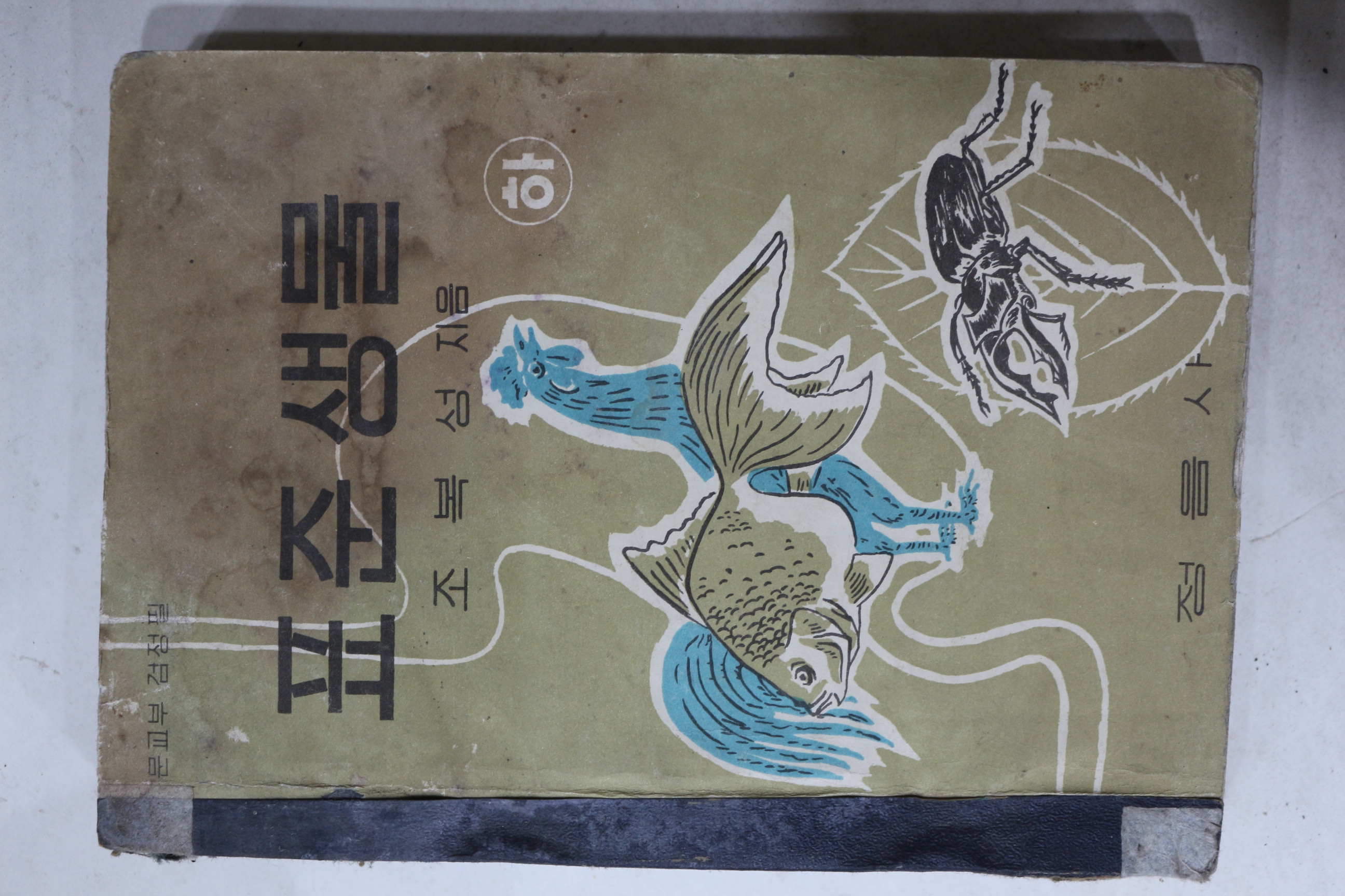 1956년 조복성 표준생물 하권