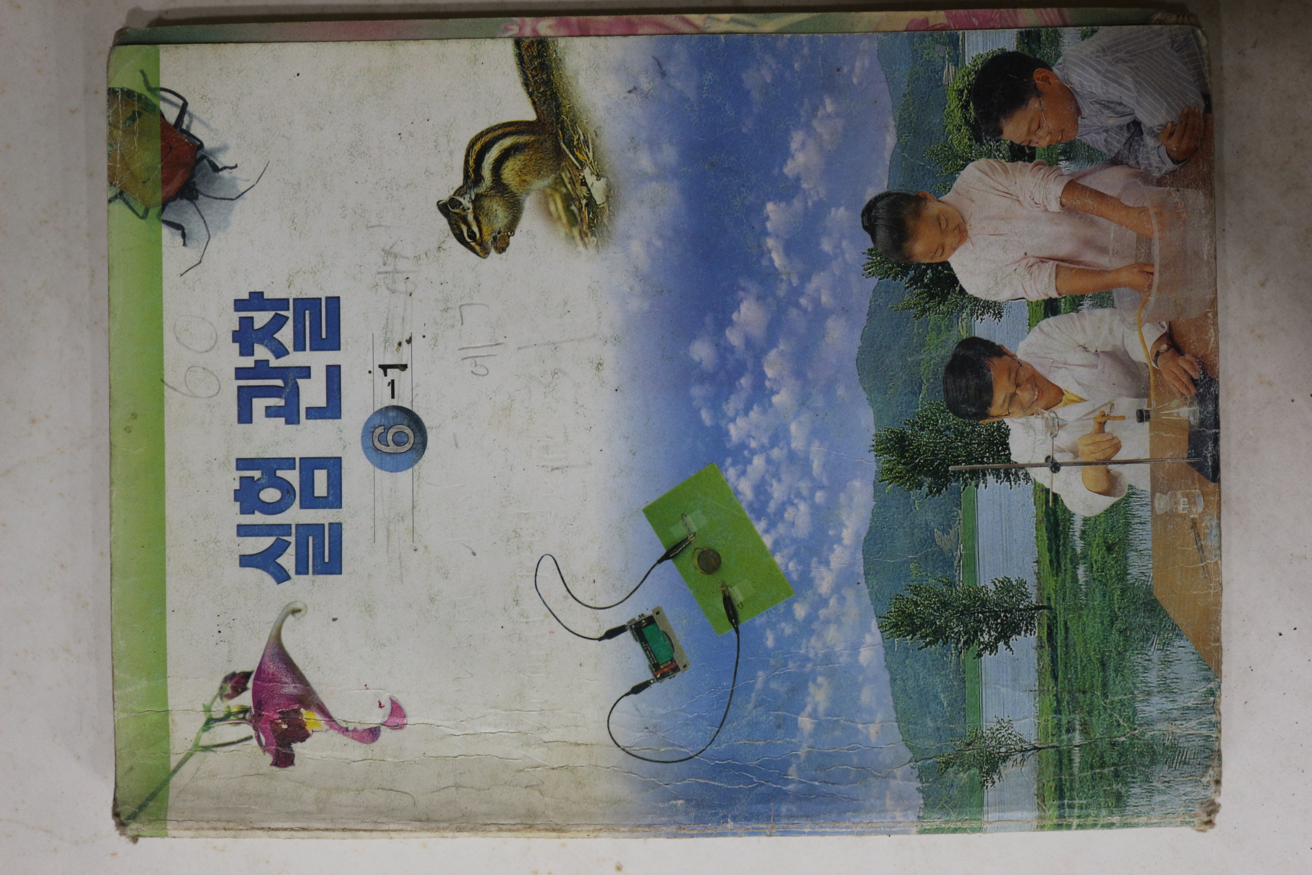 2002년 실험관찰 6-1
